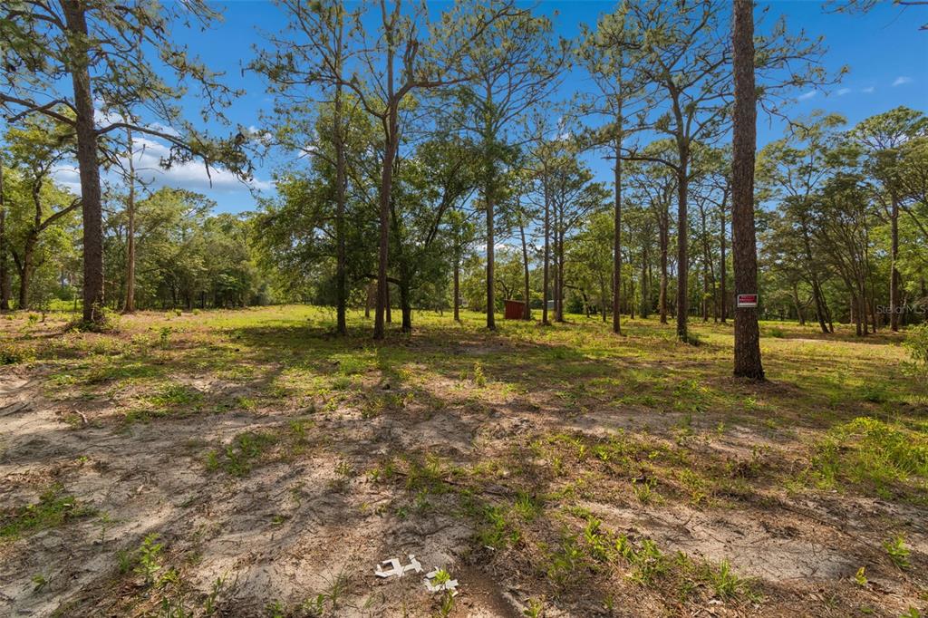 Grove Road Brooksville, FL 34613 - Photo 3 of 26