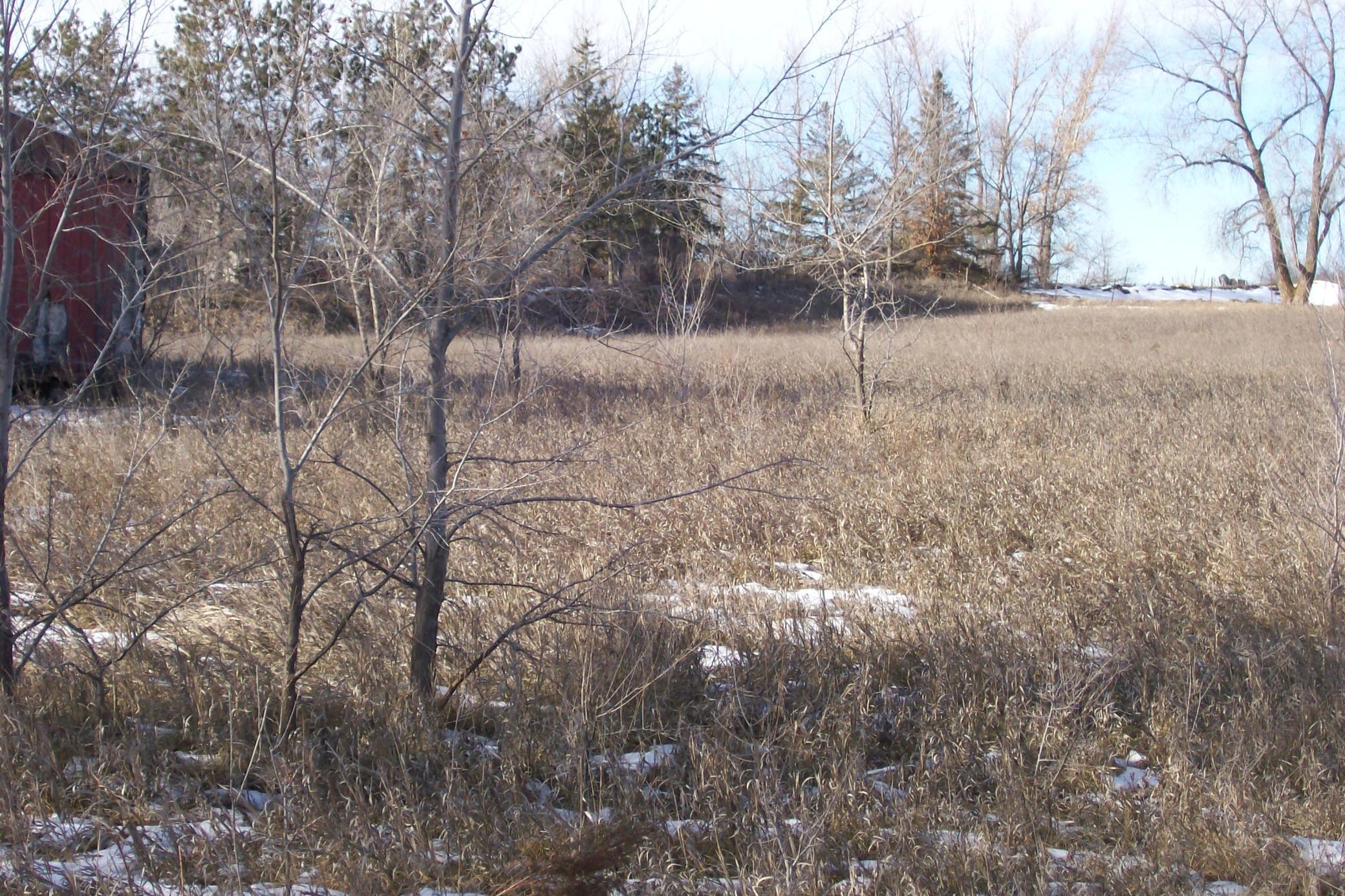 18870 Stony Road Detroit Lakes, MN 56501 - Photo 1 of 1 Gallery Image 1