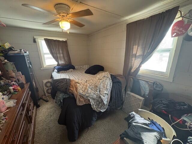 4811 South 33 1/2 Road Cadillac, MI 49601 - Photo 9 of 12 m5