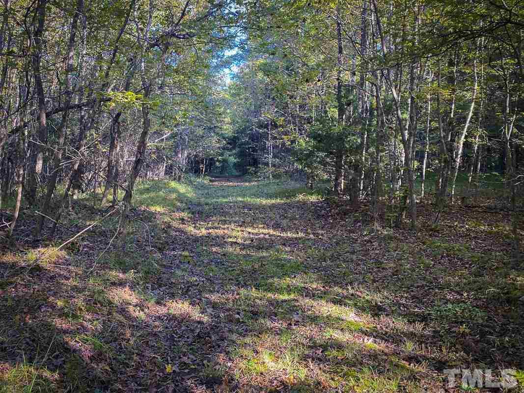 213 Rougemont Road Rougemont, NC 27572 - Photo 13 of 23