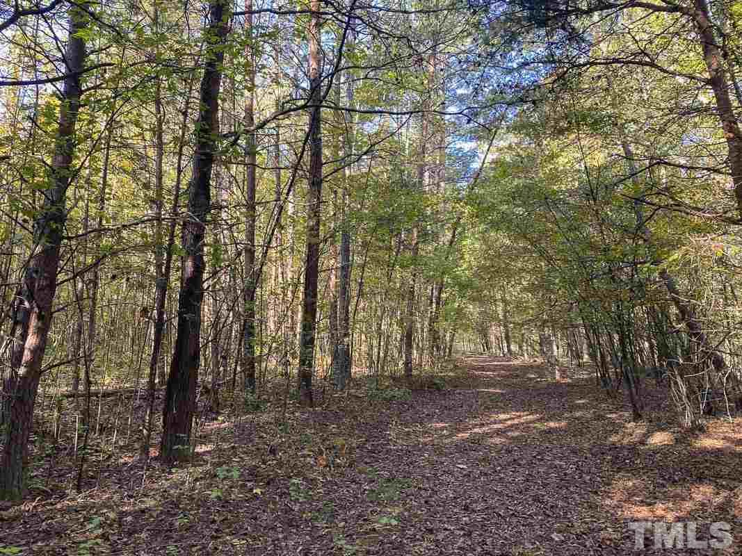 213 Rougemont Road Rougemont, NC 27572 - Photo 16 of 23