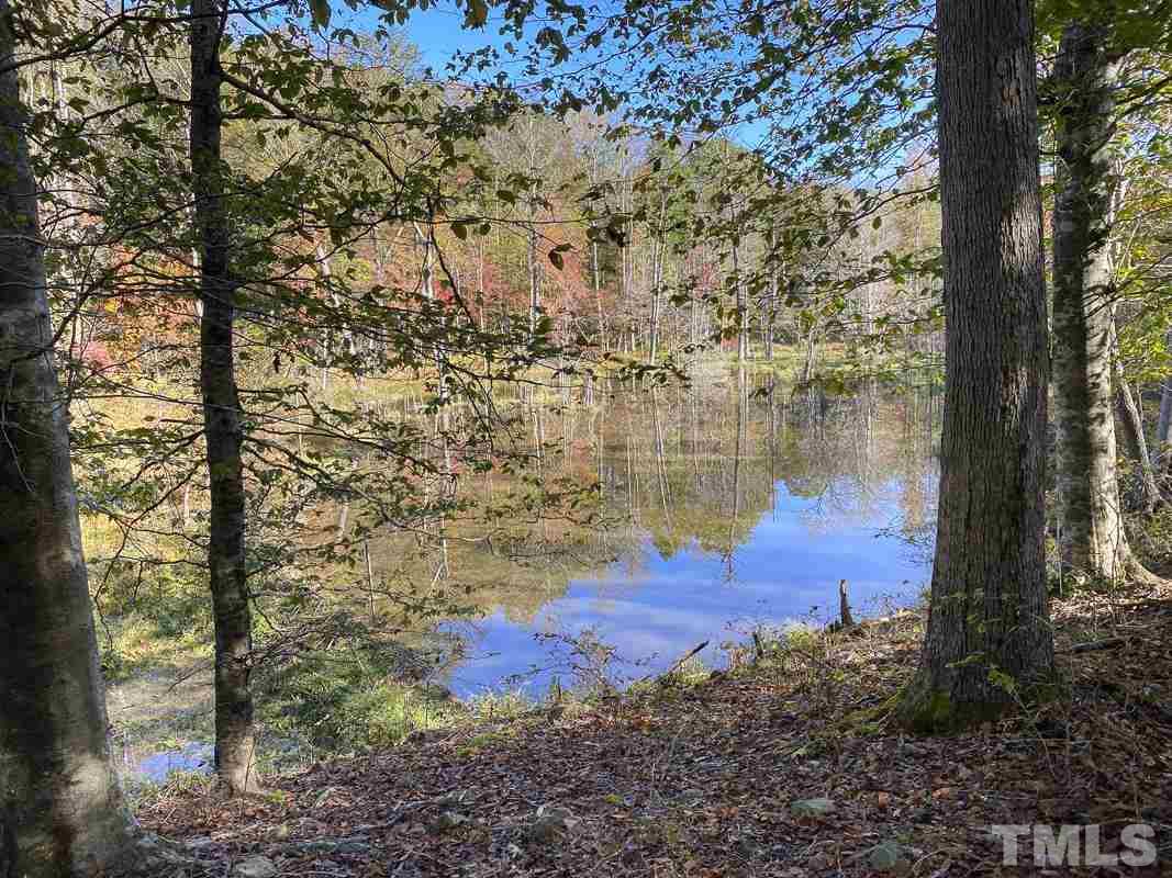 213 Rougemont Road Rougemont, NC 27572 - Photo 21 of 23