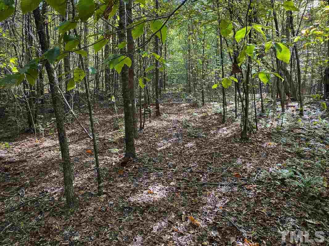 213 Rougemont Road Rougemont, NC 27572 - Photo 22 of 23