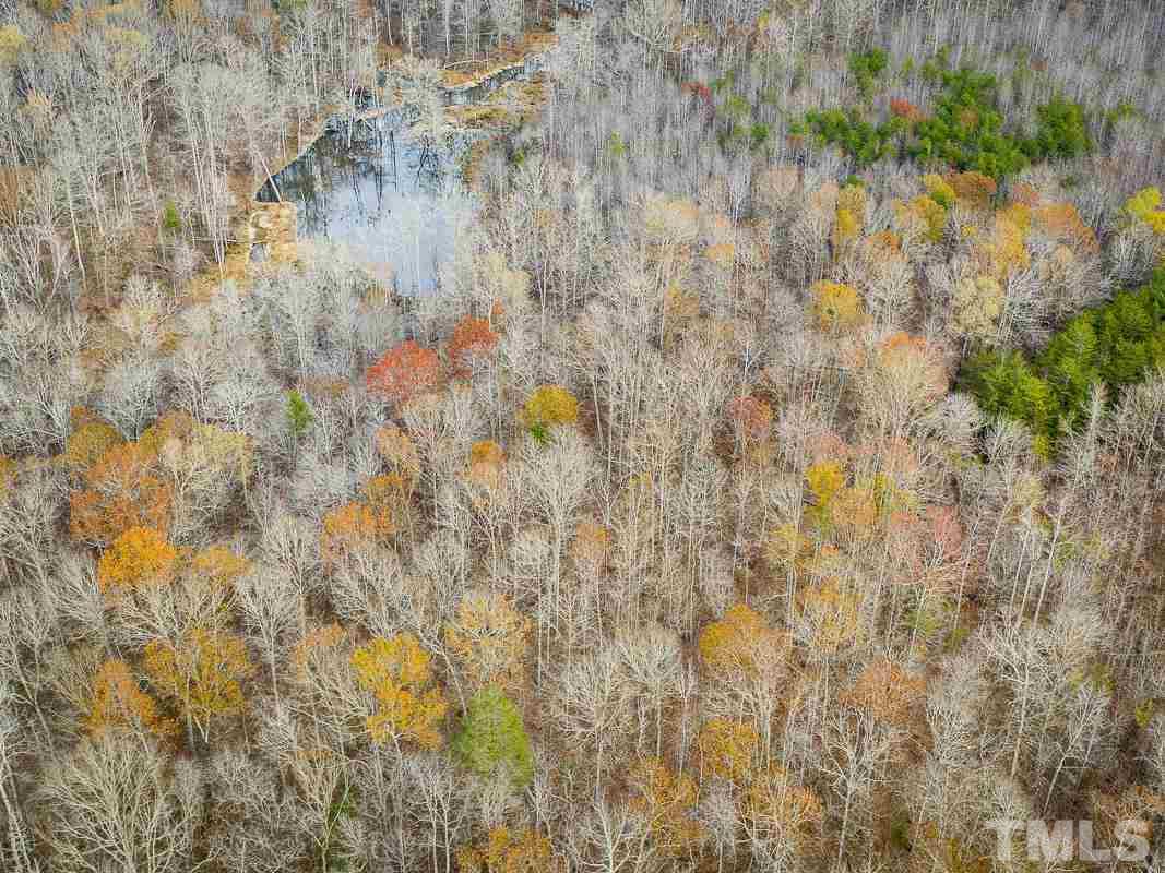 213 Rougemont Road Rougemont, NC 27572 - Photo 10 of 23