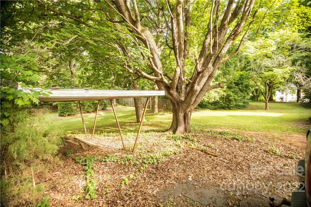 14925 North Old Statesville Road Huntersville, NC 28078 - Photo 5 of 18 a view of a yard with a tree