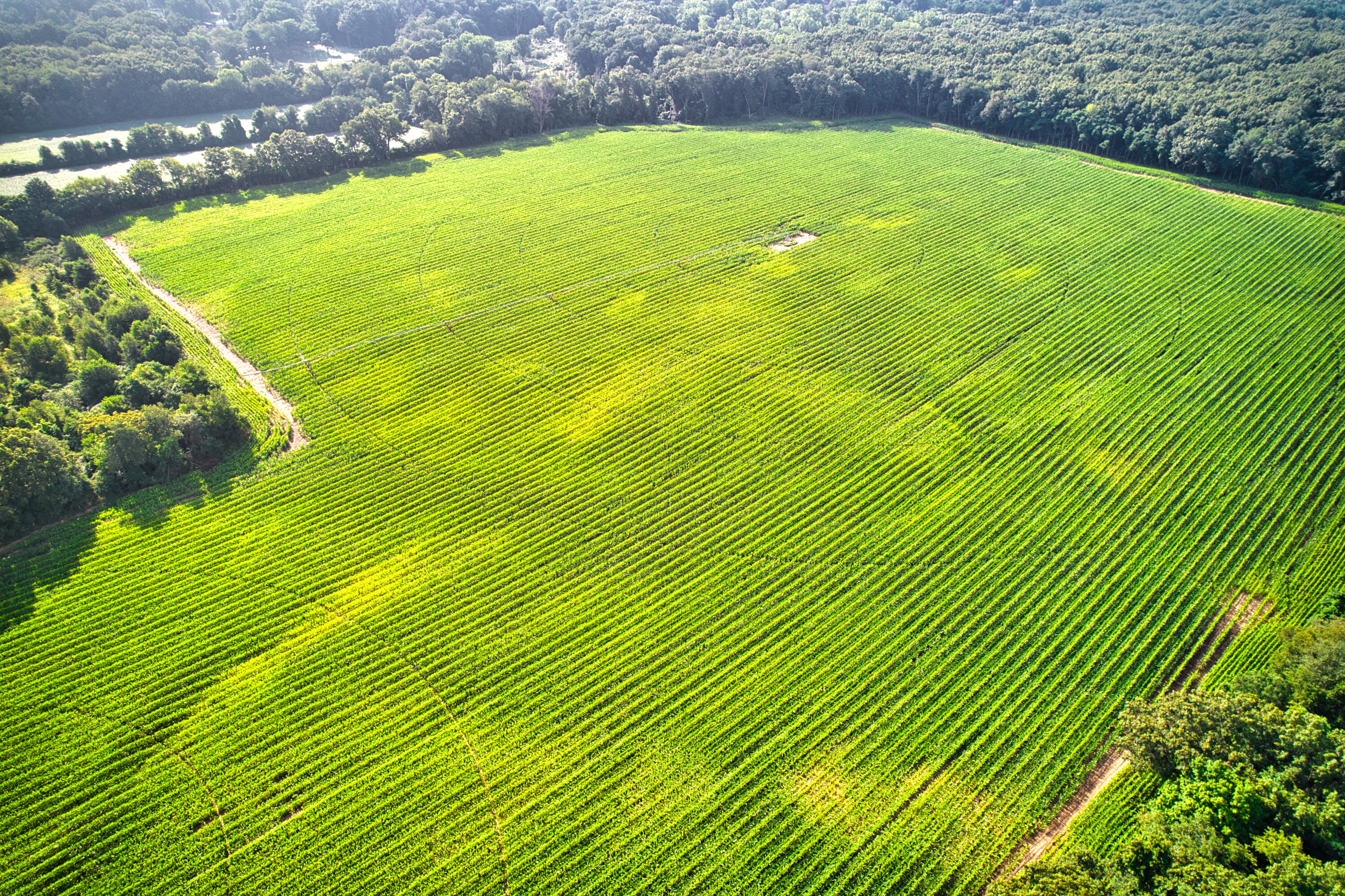 0 Lake Street Niles, MI 49120 - Photo 11 of 18 DJI_0175