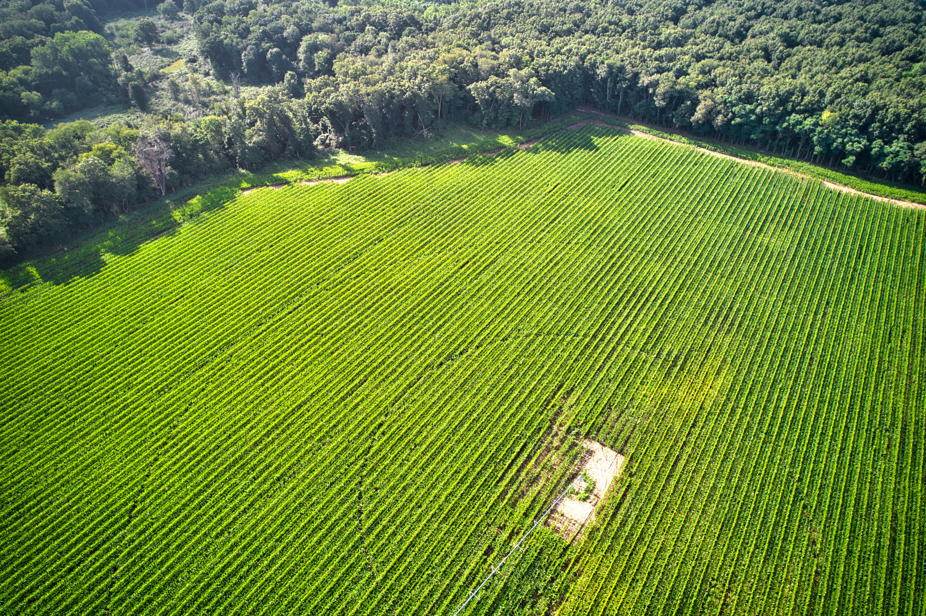 0 Lake Street Niles, MI 49120 - Photo 12 of 18 DJI_0176