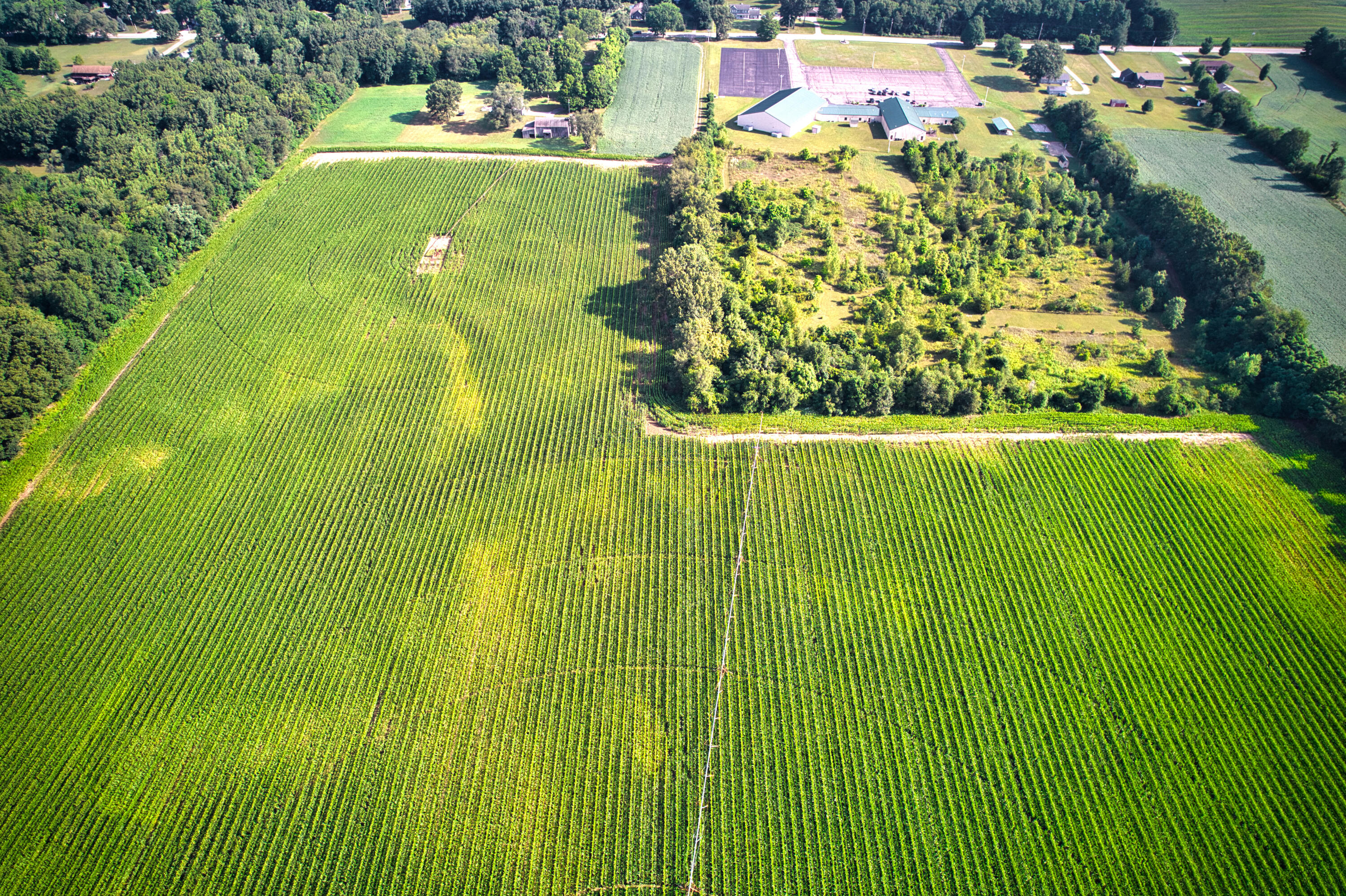 0 Lake Street Niles, MI 49120 - Photo 13 of 18 DJI_0178