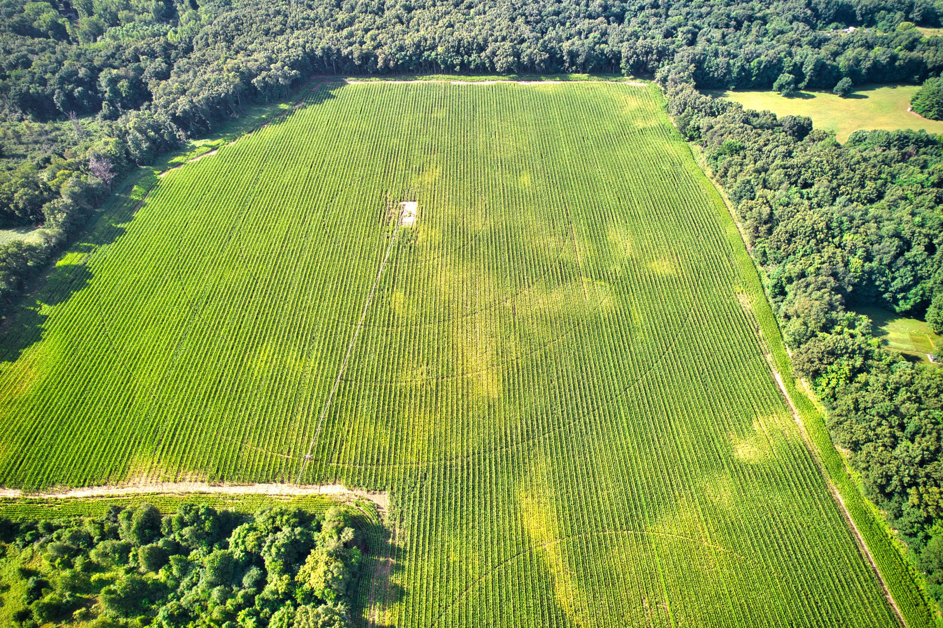 0 Lake Street Niles, MI 49120 - Photo 14 of 18 DJI_0181