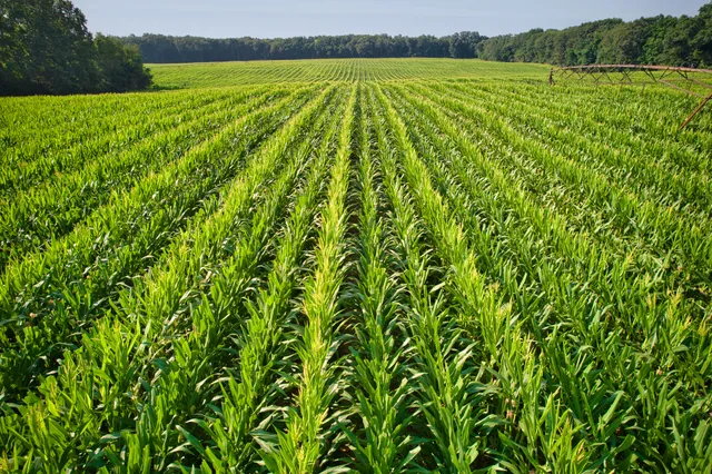 $1,100,000 | 0 Lake Street, Niles, MI 49120