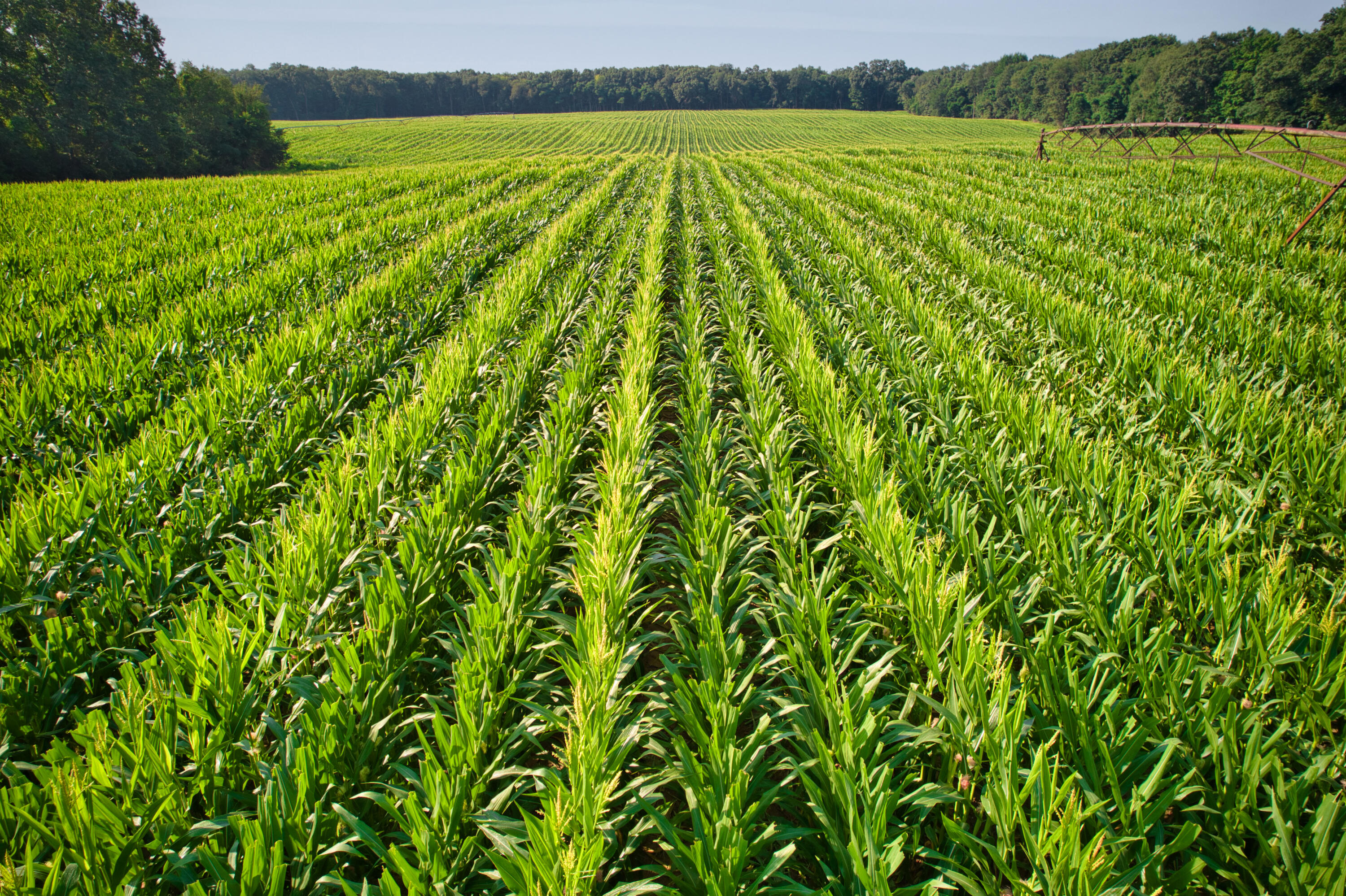 0 Lake Street Niles, MI 49120 - Photo 16 of 18 DJI_0184