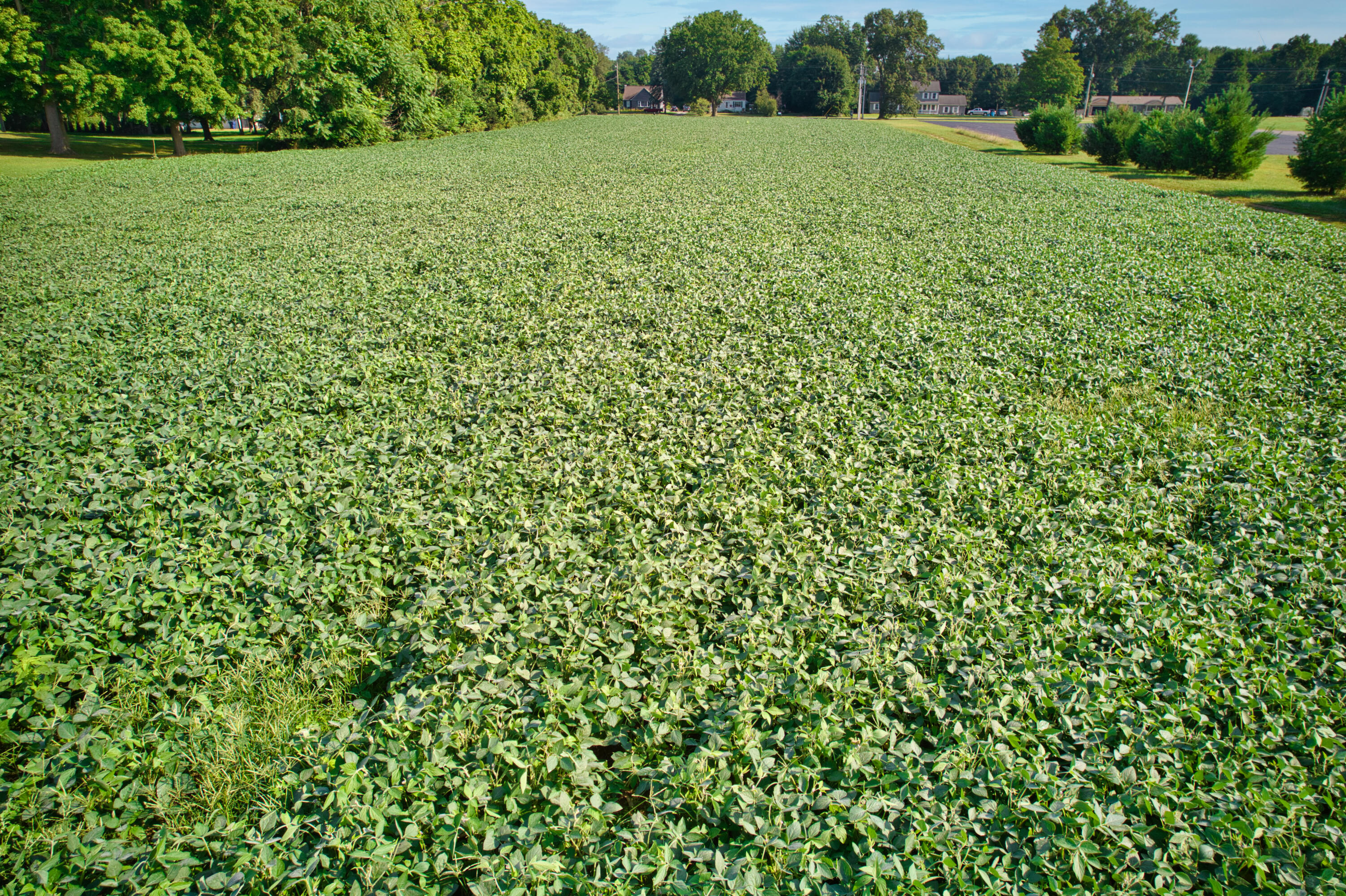 0 Lake Street Niles, MI 49120 - Photo 17 of 18 DJI_0185