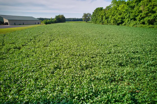 $1,100,000 | 0 Lake Street, Niles, MI 49120