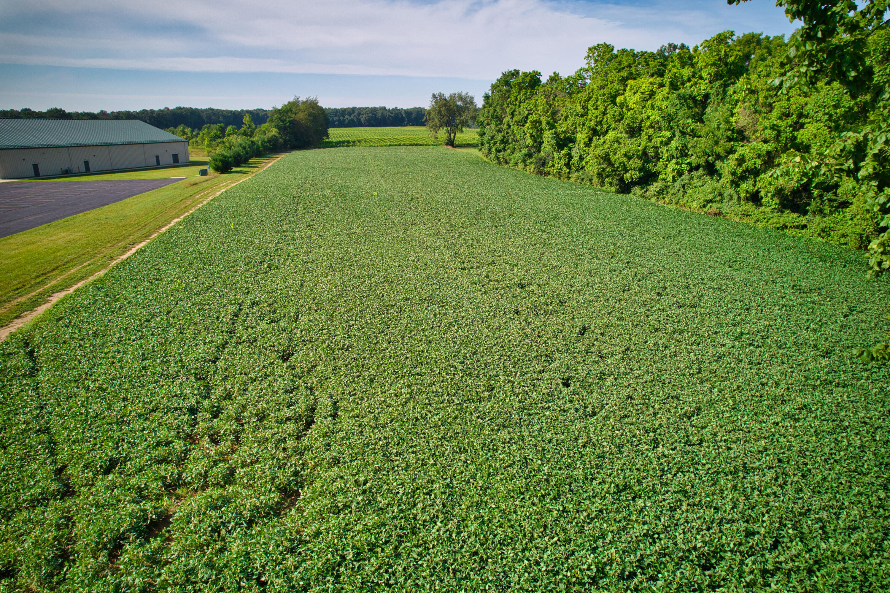 0 Lake Street Niles, MI 49120 - Photo 4 of 18 aDJI_0191