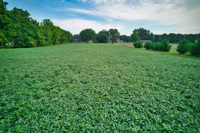 $1,100,000 | 0 Lake Street, Niles, MI 49120