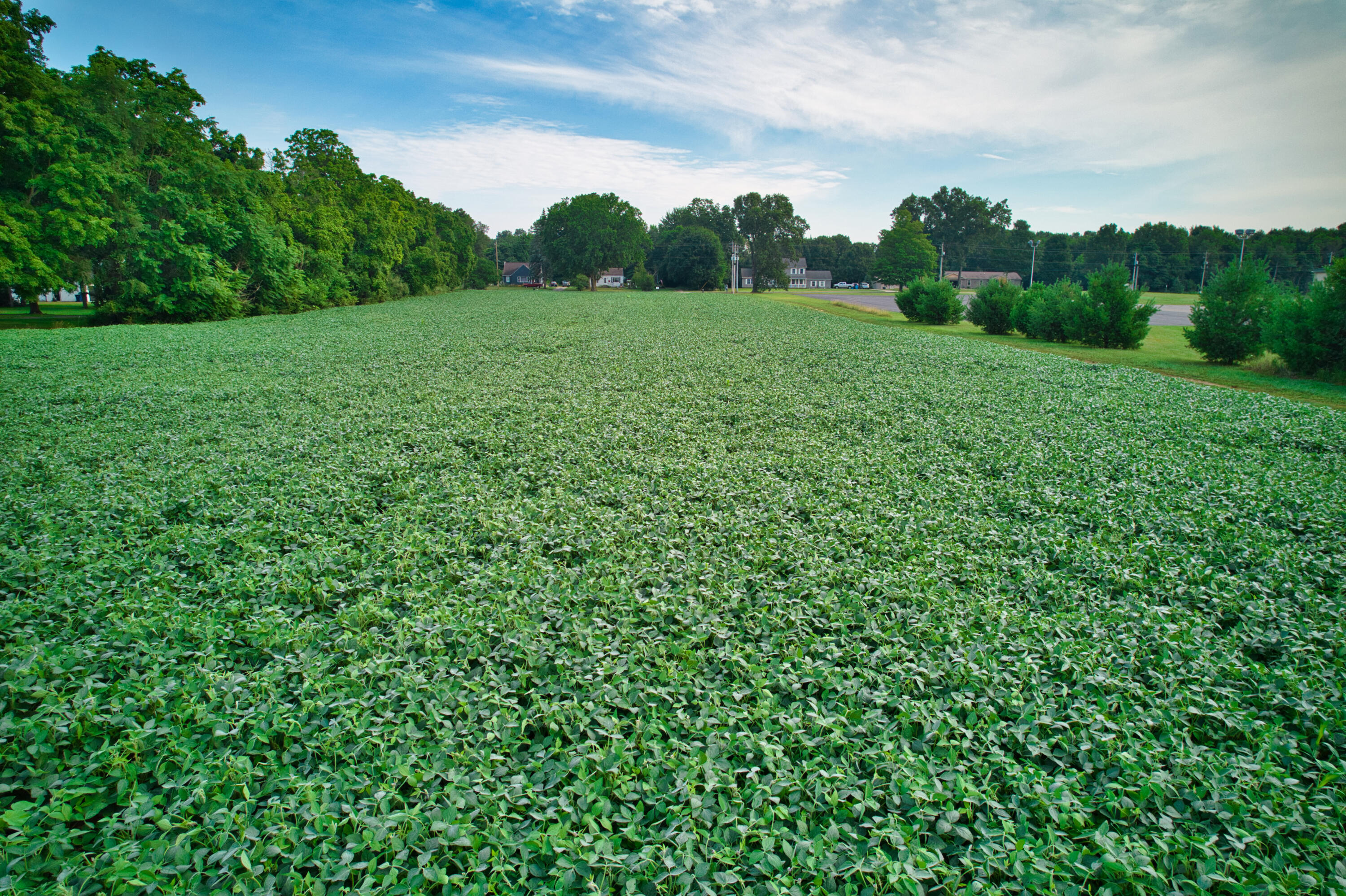 0 Lake Street Niles, MI 49120 - Photo 6 of 18 DJI_0162