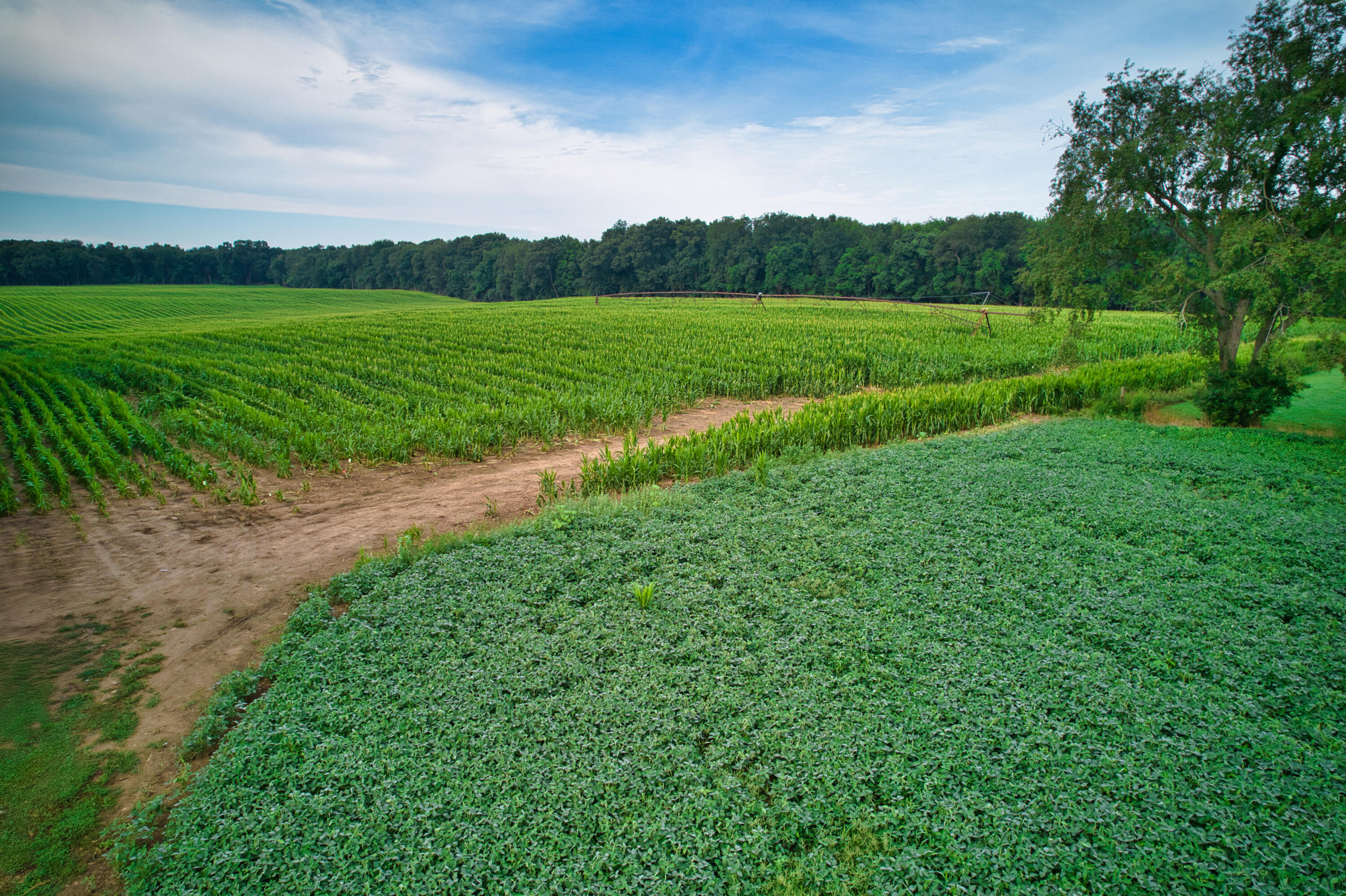 0 Lake Street Niles, MI 49120 - Photo 7 of 18 DJI_0163