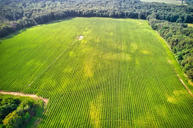 $1,100,000 | 0 Lake Street, Niles, MI 49120