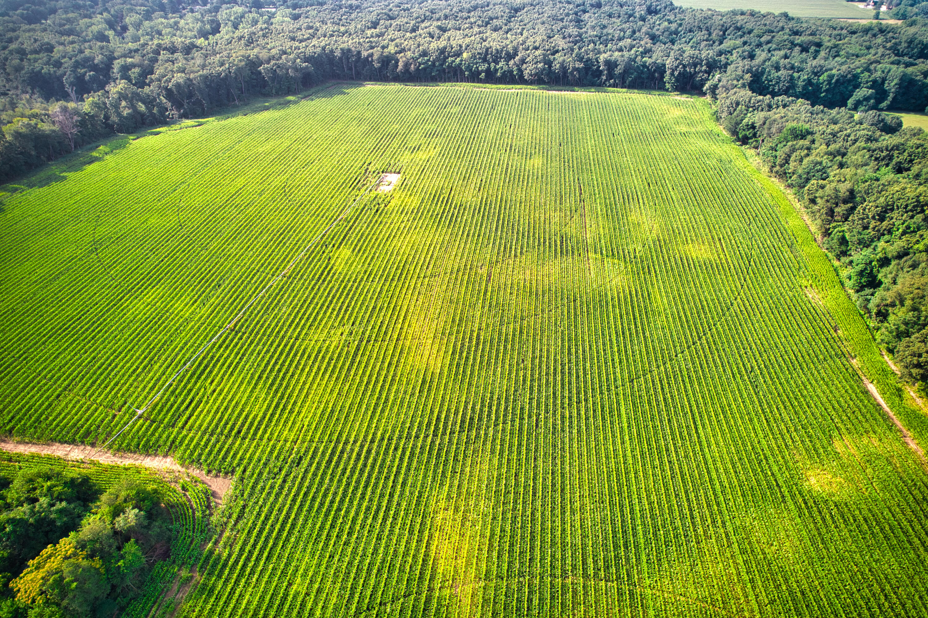0 Lake Street Niles, MI 49120 - Photo 10 of 18 DJI_0174