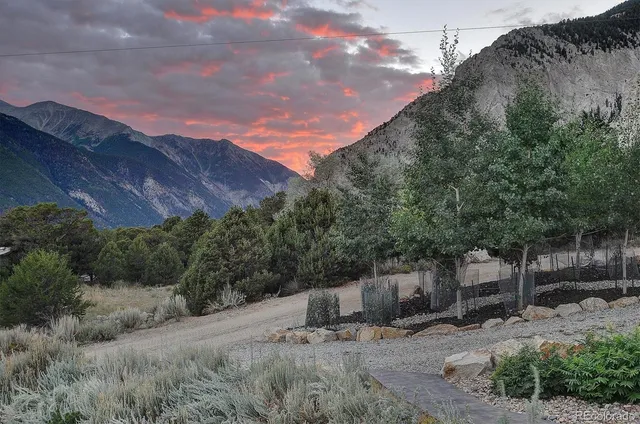 a view of a dry yard with wooden fence