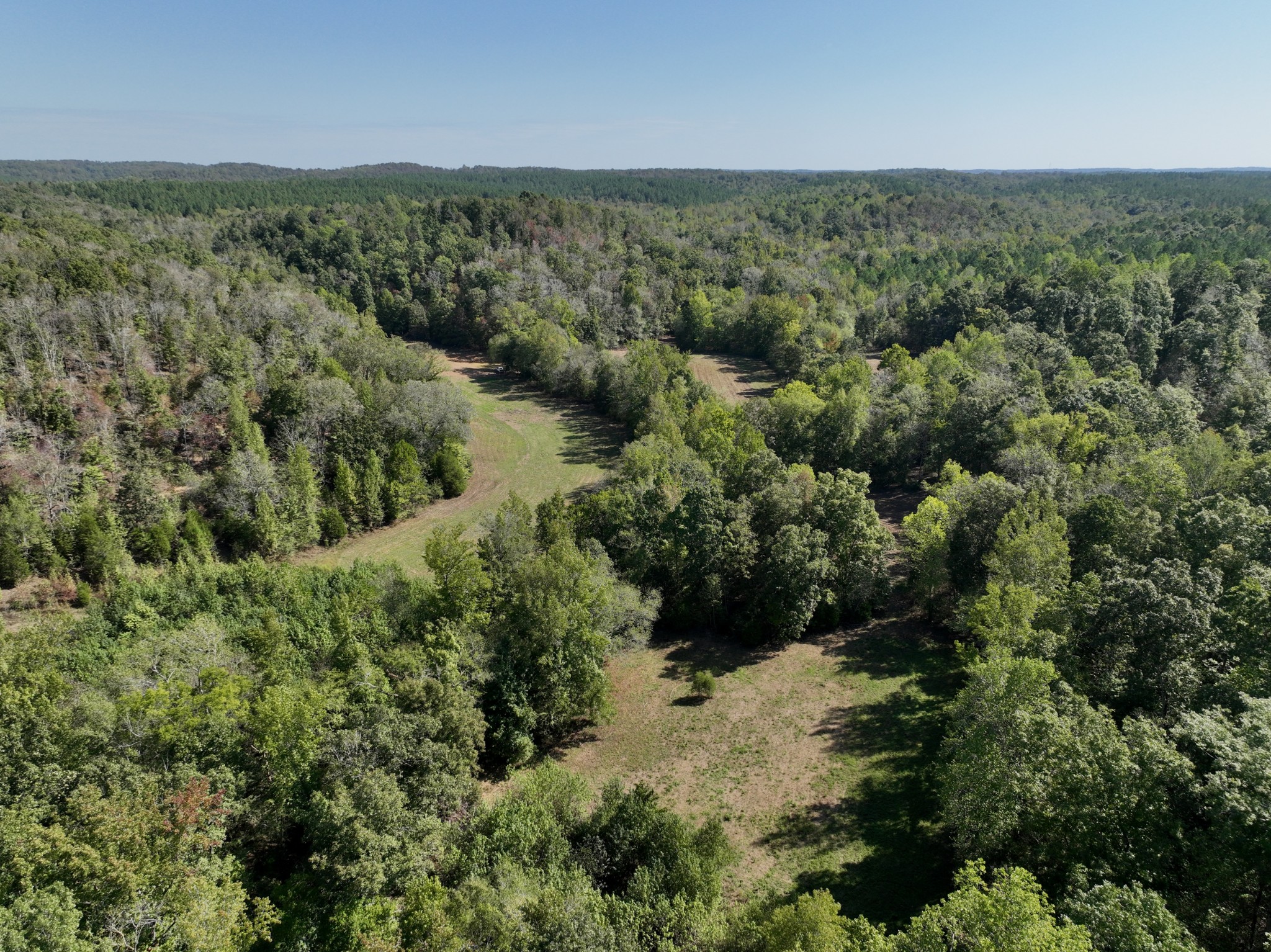 1300 Jack Branch Road Waverly, TN 37185 - Photo 41 of 67 Gallery Image 41