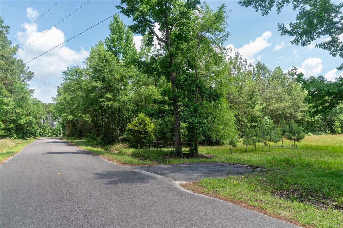 0 Deneaux Road Rowesville, SC 29133 - Photo 13 of 43 12-Deneaux-12