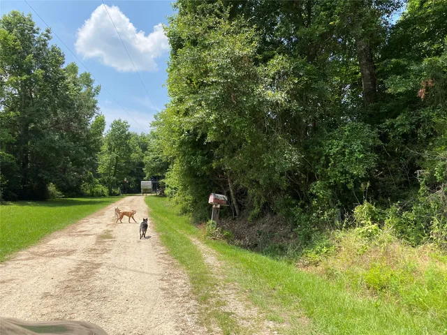 $78,000 | Lot 23 Plum Pudding Road, Livingston, TX 77351