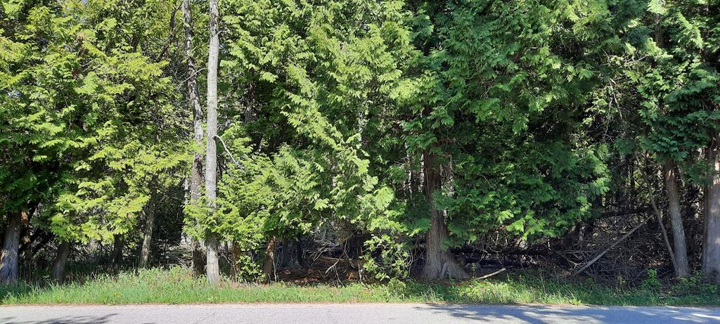 Tbd White Cliff Road Fish Creek, WI 54212 - Photo 2 of 6