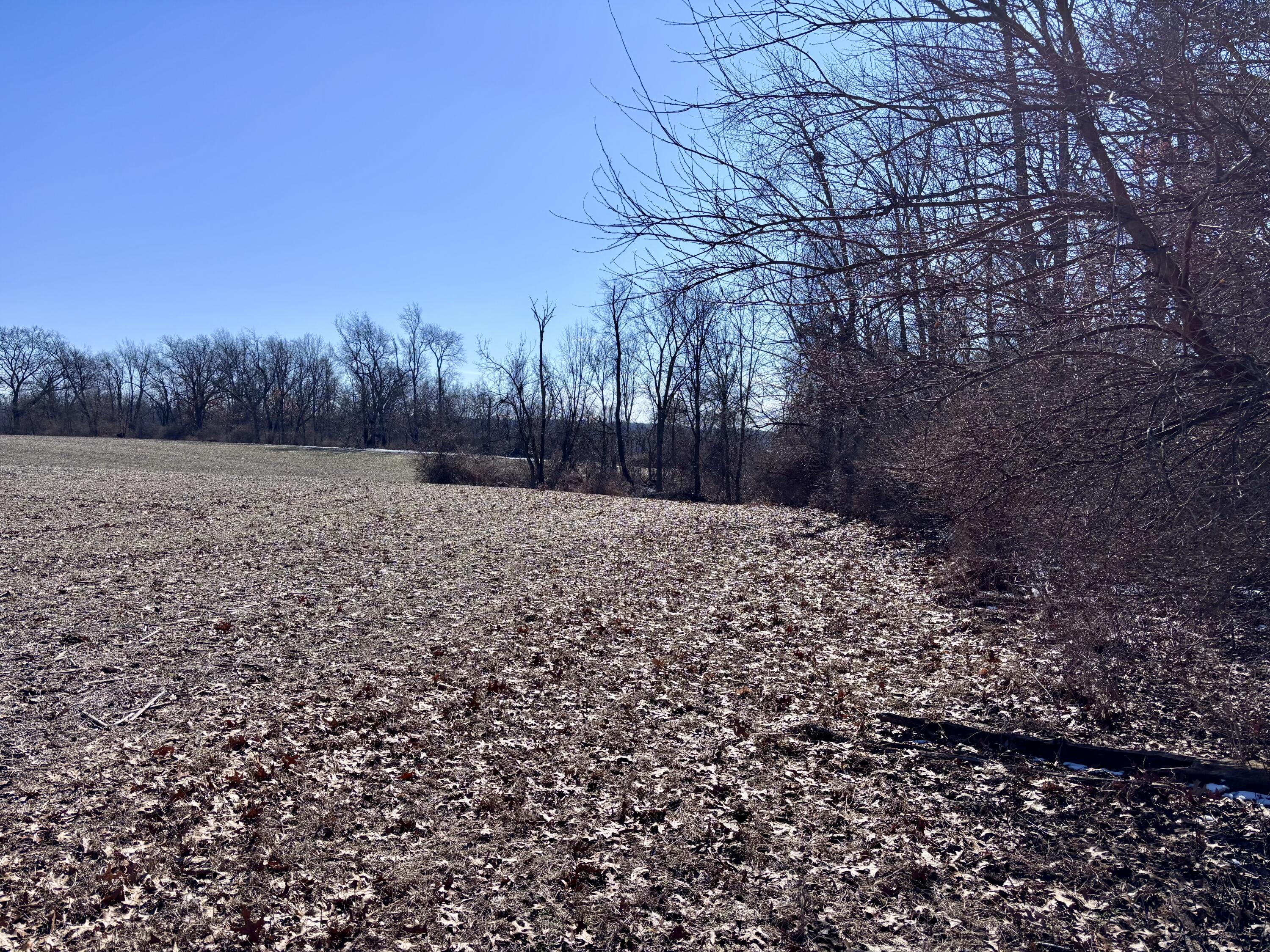 39 A Carls Road Sturgis, MI 49091 - Photo 8 of 9 IMG_5140