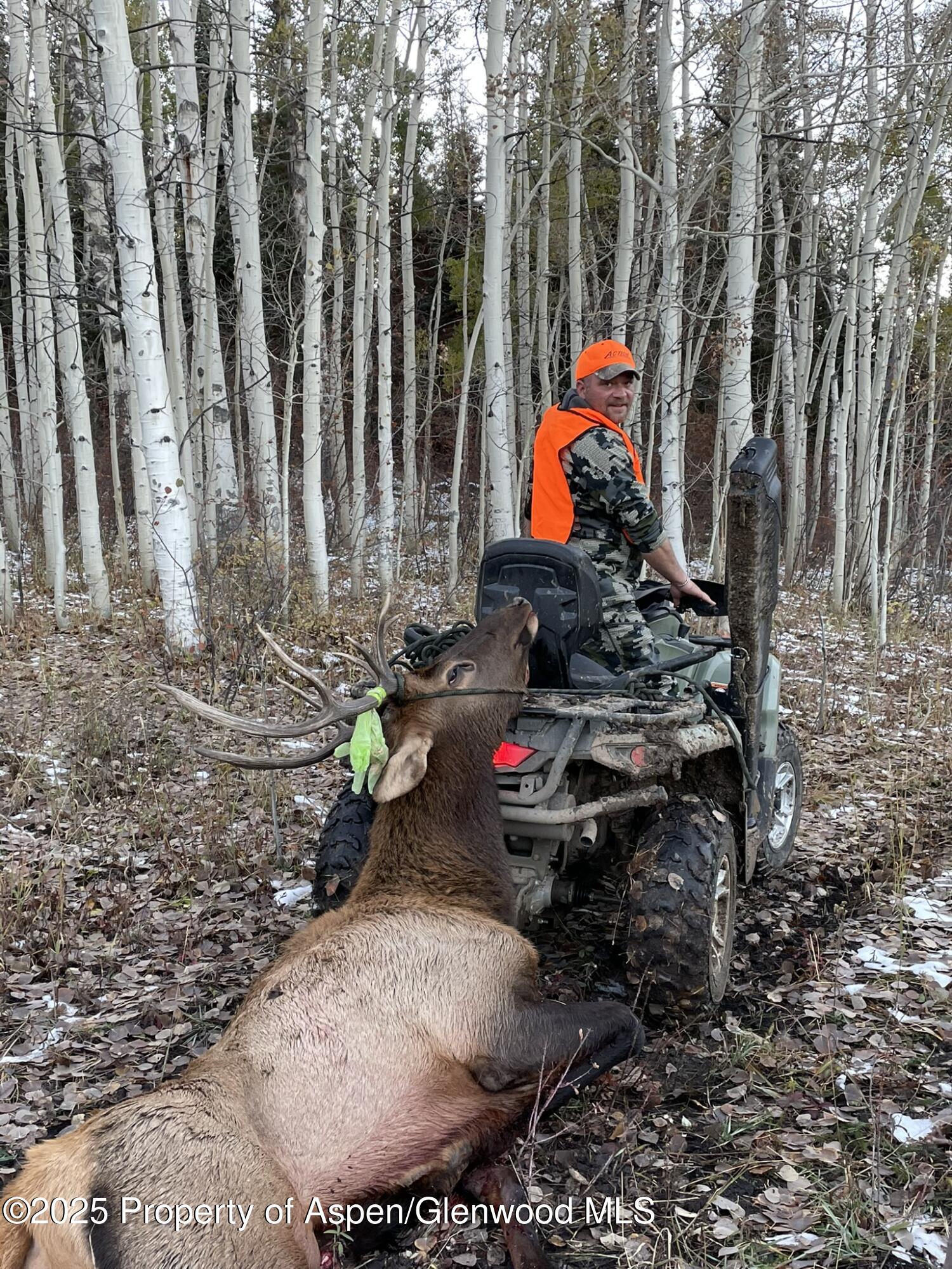 943 Routt Forest Drive Craig, CO 81625 - Photo 103 of 120 79C9BC6D-EDA7-484F-8132-0E4EBAEE55C2
