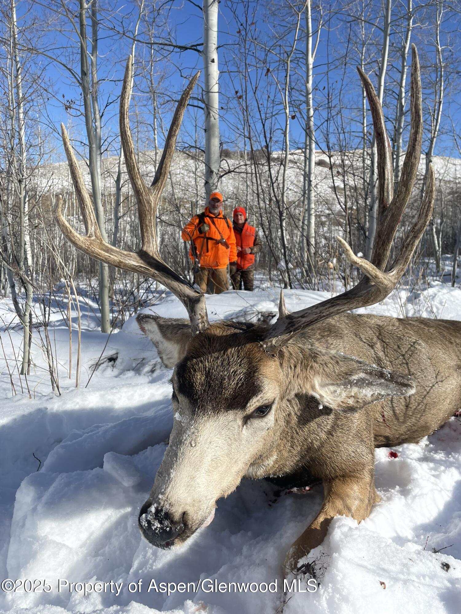 943 Routt Forest Drive Craig, CO 81625 - Photo 104 of 120 a view of entryway