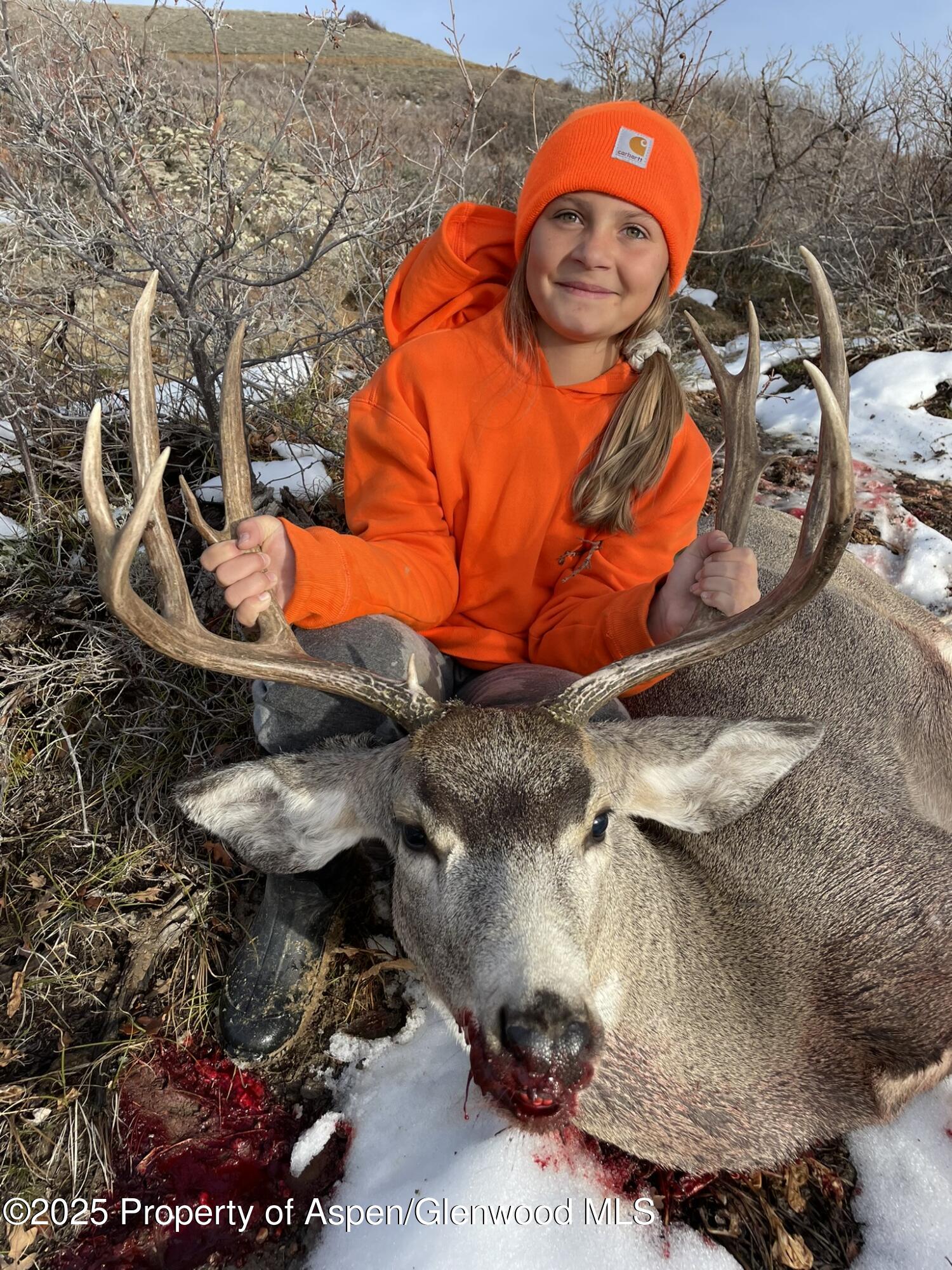 943 Routt Forest Drive Craig, CO 81625 - Photo 105 of 120 53596E45-CCAE-4CB4-8C98-0C39223146E4