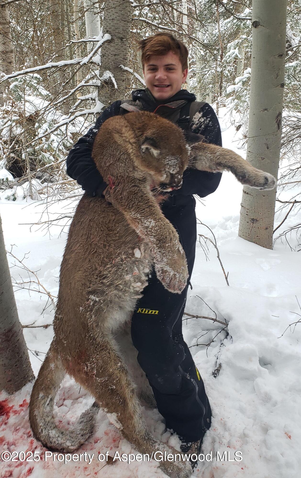 943 Routt Forest Drive Craig, CO 81625 - Photo 106 of 120 20201228_210845_Original