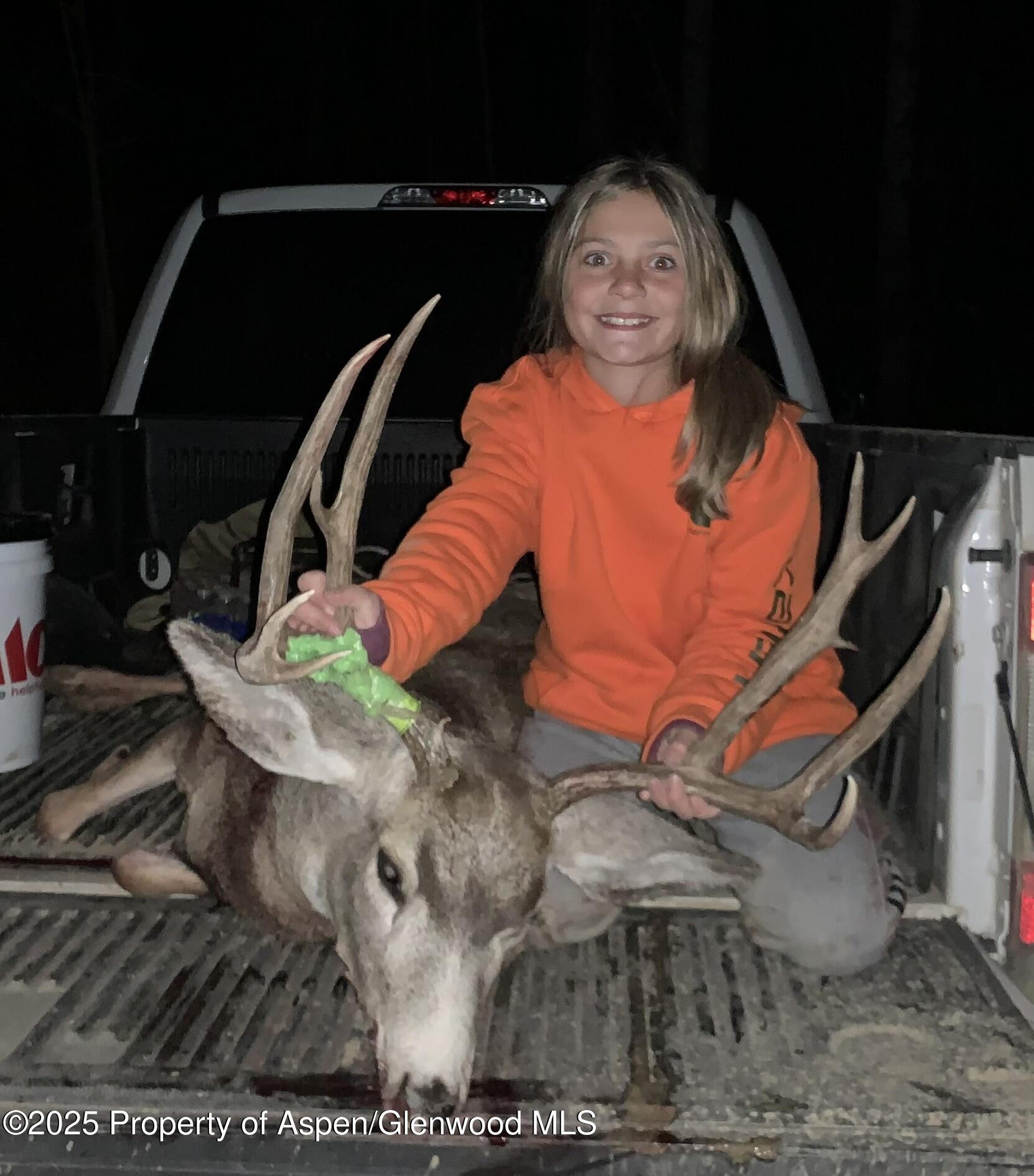 943 Routt Forest Drive Craig, CO 81625 - Photo 109 of 120 F38BE71D-A8AC-4273-B6F6-D0CA5D2A5790