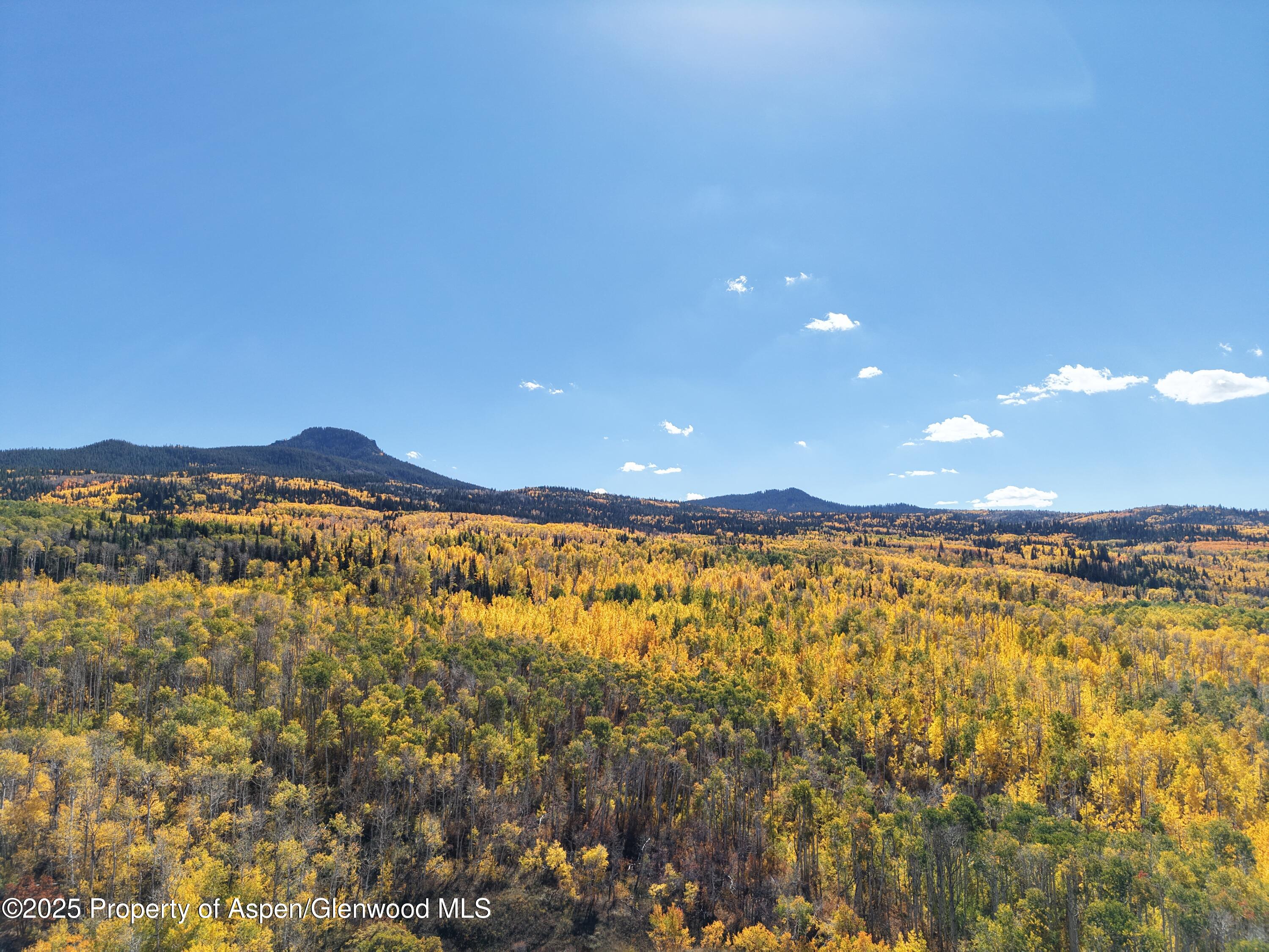 943 Routt Forest Drive Craig, CO 81625 - Photo 115 of 120 a view of an ocean from a yard
