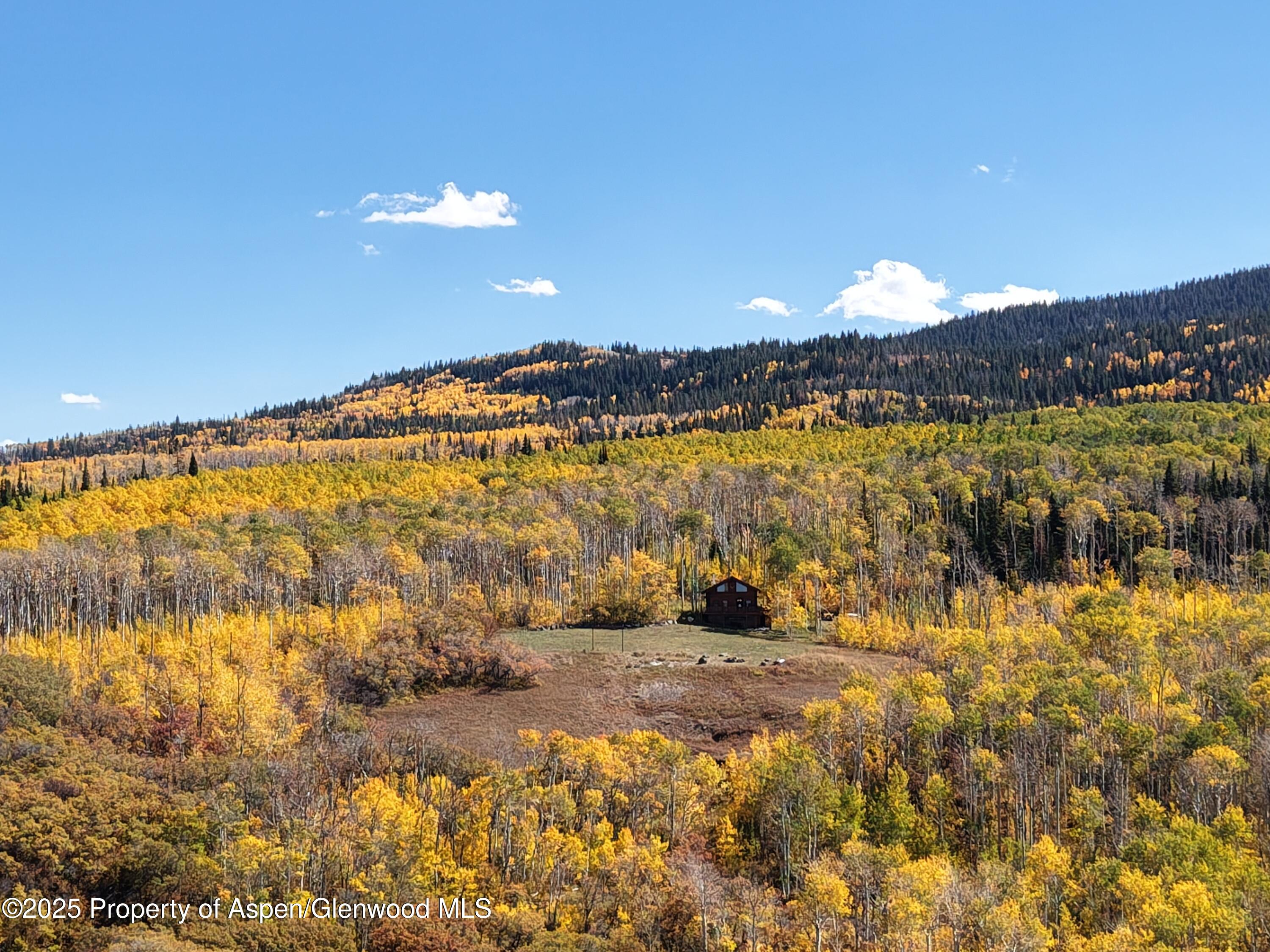 943 Routt Forest Drive Craig, CO 81625 - Photo 117 of 120 dji_fly_20251002_132652_0327_17596073665