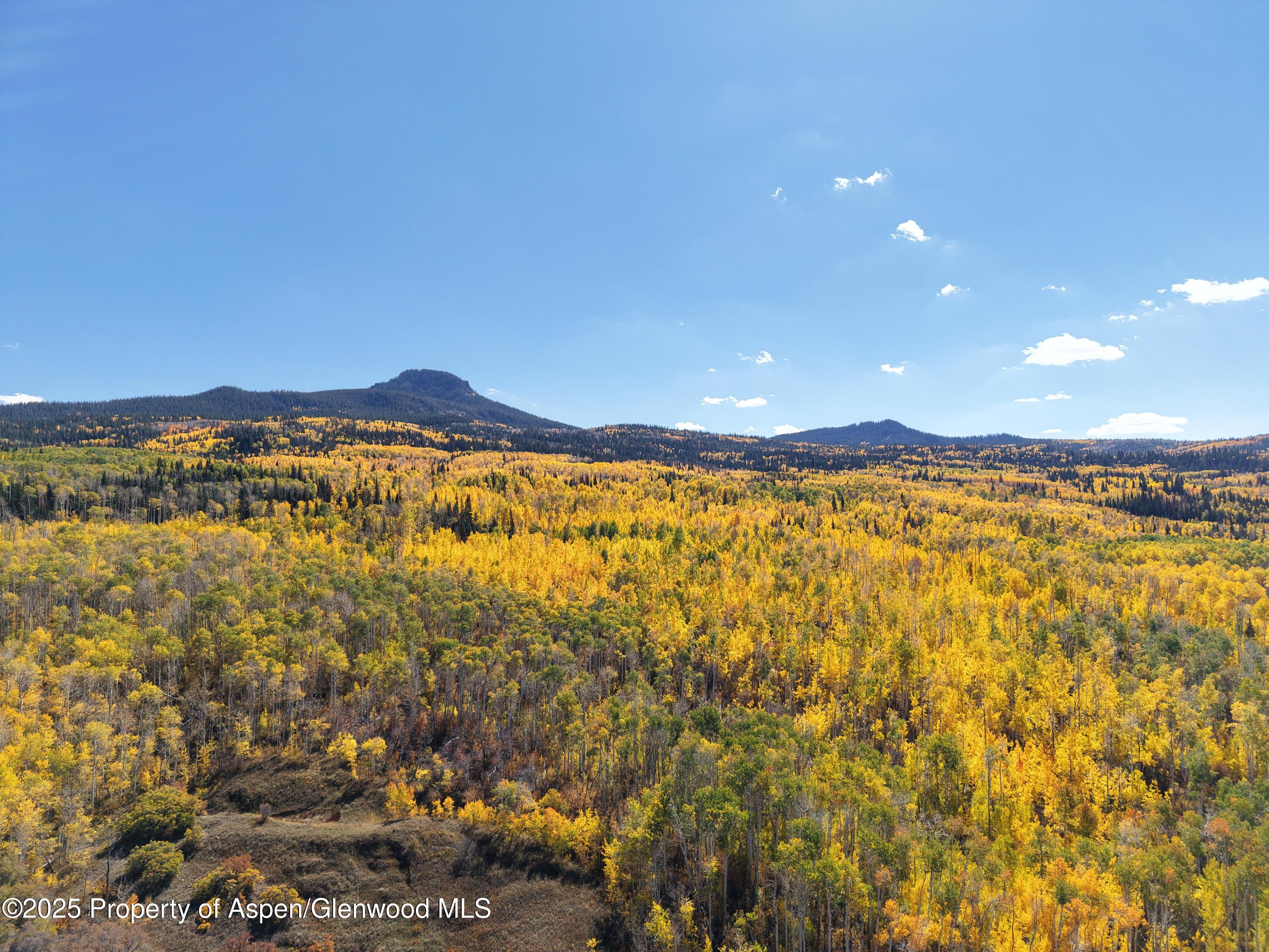 943 Routt Forest Drive Craig, CO 81625 - Photo 119 of 120 dji_fly_20251002_132706_0329_17596073658
