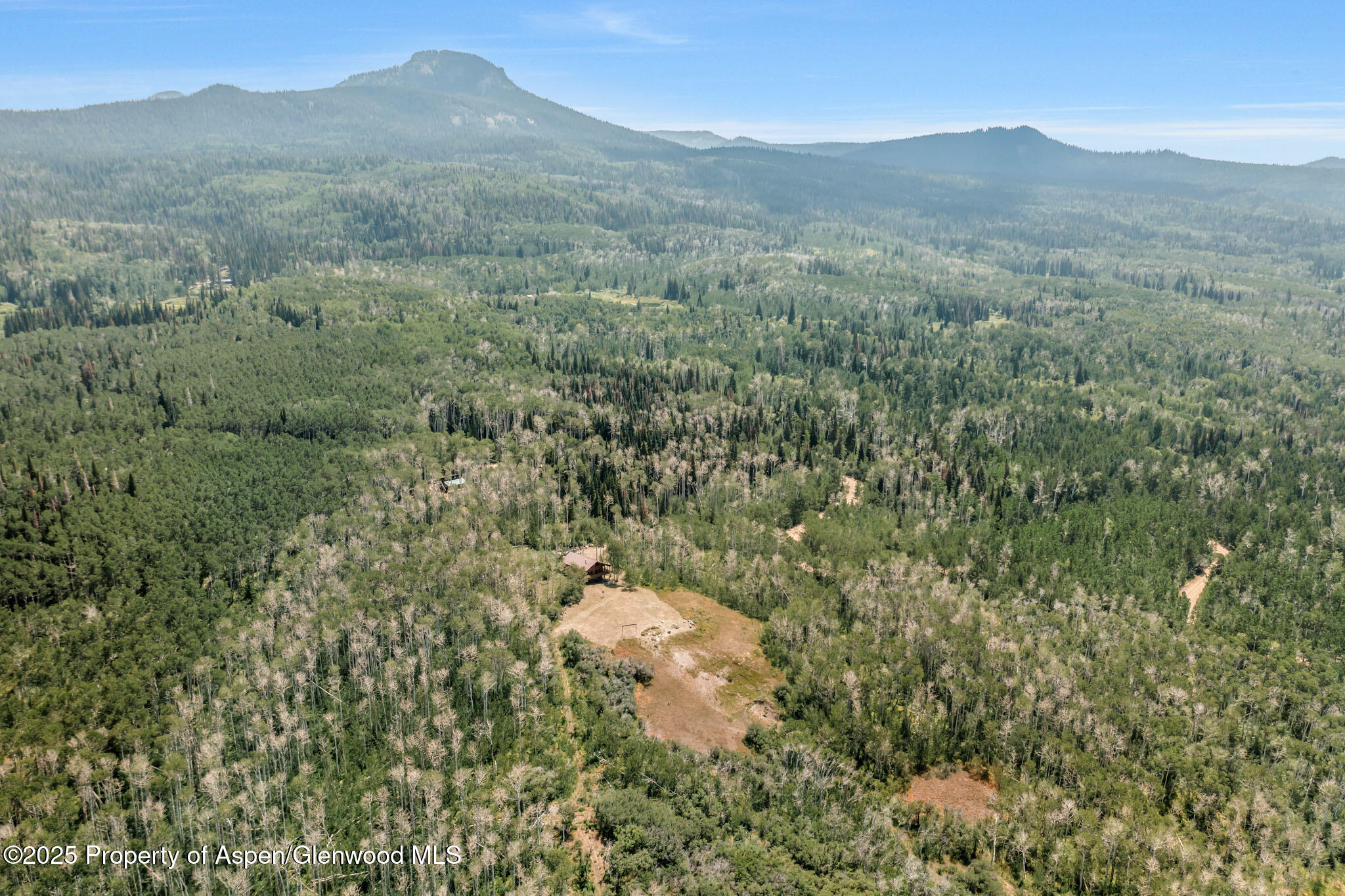 943 Routt Forest Drive Craig, CO 81625 - Photo 46 of 120 a view of a mountain in the distance in a field