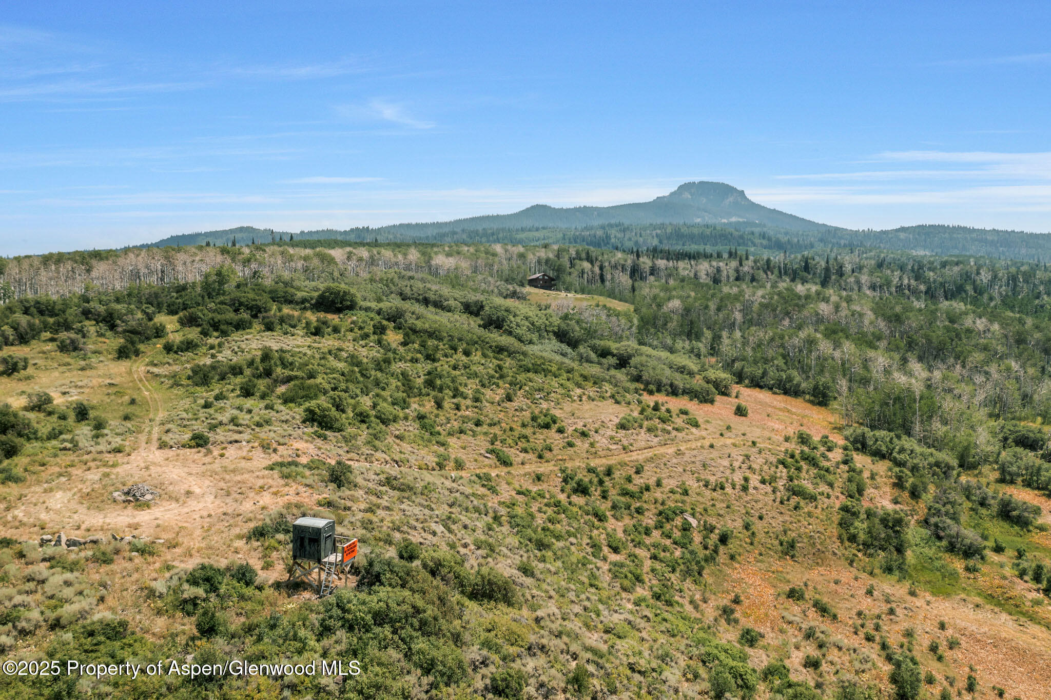 943 Routt Forest Drive Craig, CO 81625 - Photo 49 of 120 a view of a lush green field with mountains in the background