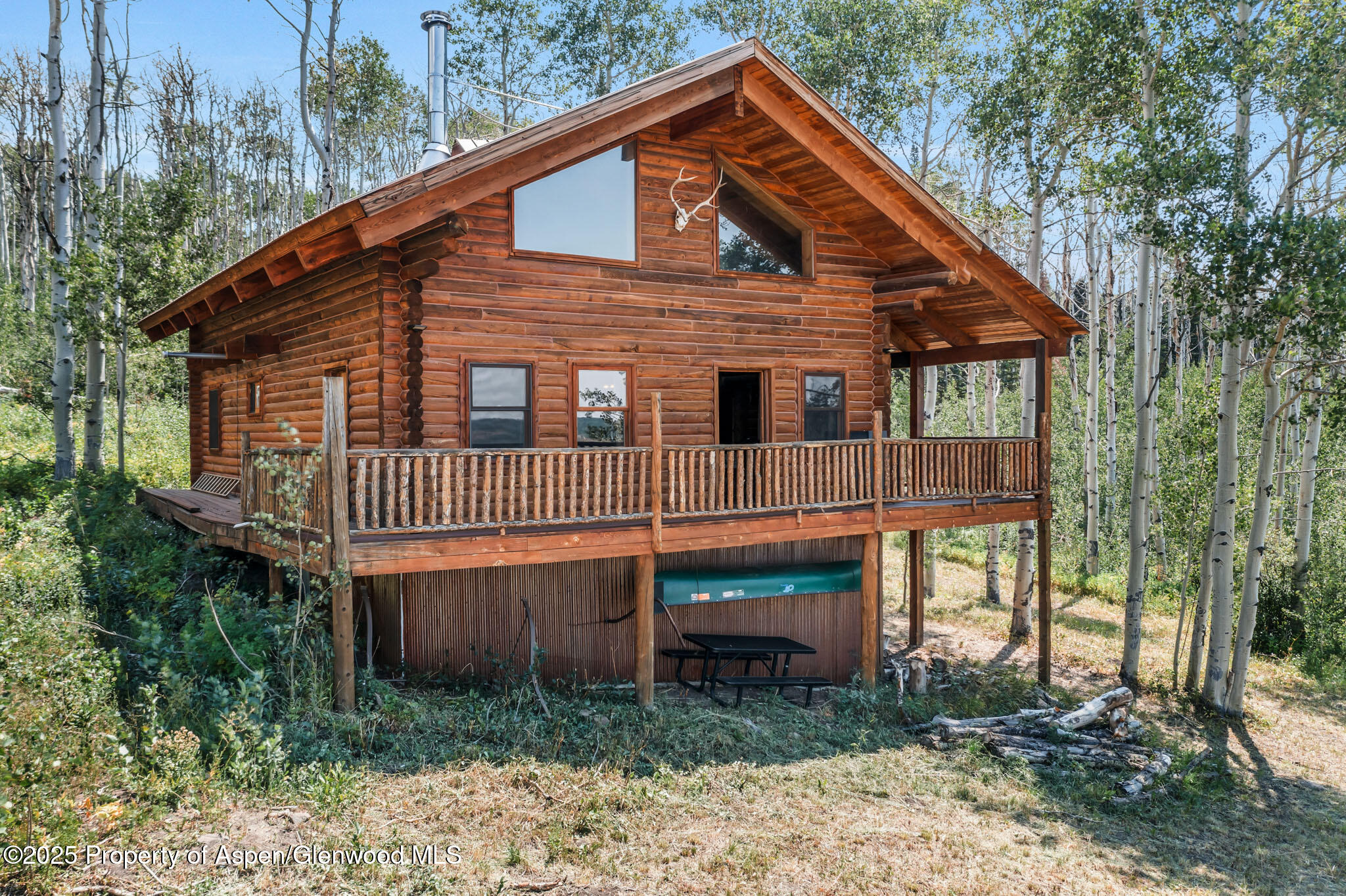 943 Routt Forest Drive Craig, CO 81625 - Photo 5 of 120 DJI_0337