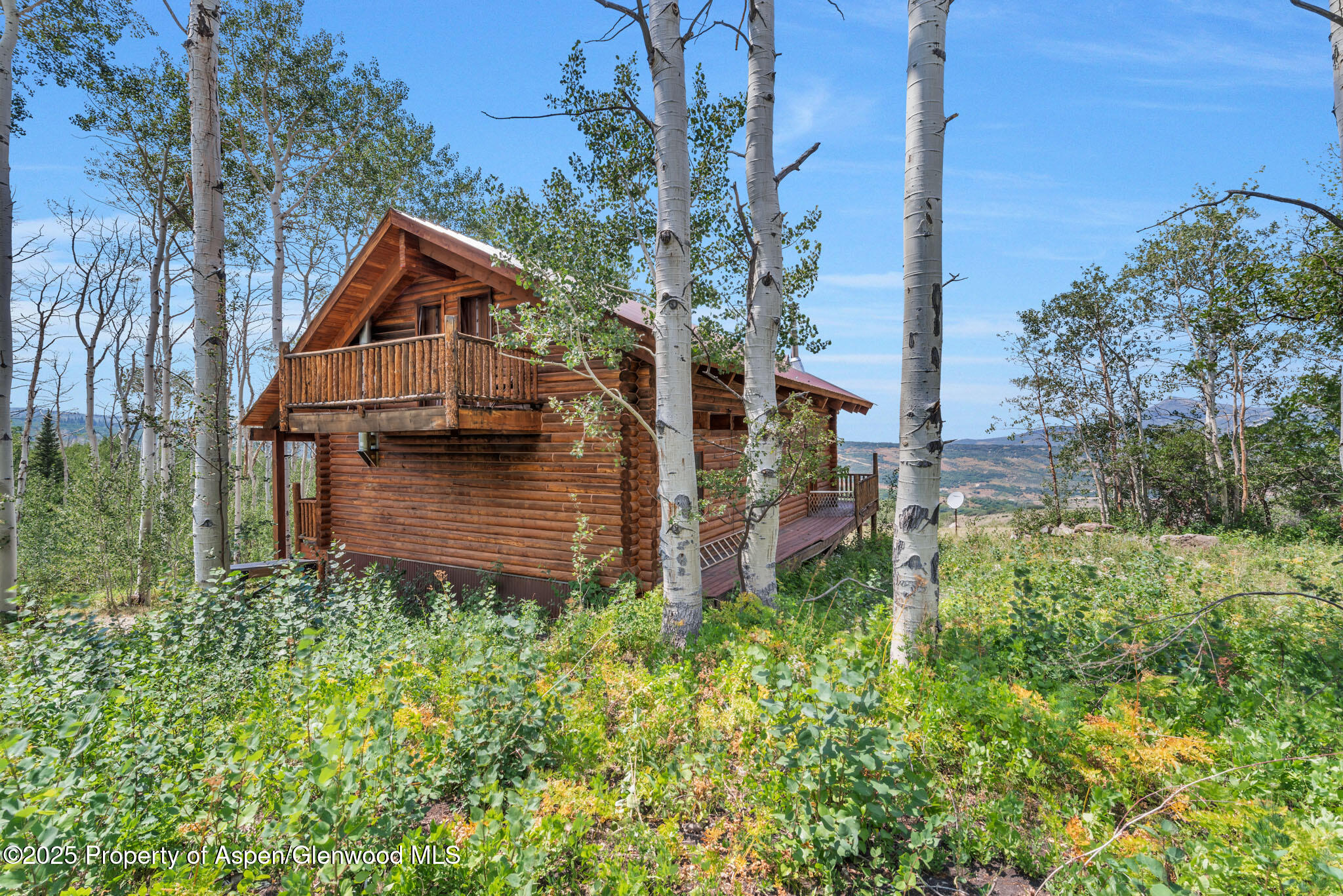 943 Routt Forest Drive Craig, CO 81625 - Photo 56 of 120 a backyard of a house with lots of green space