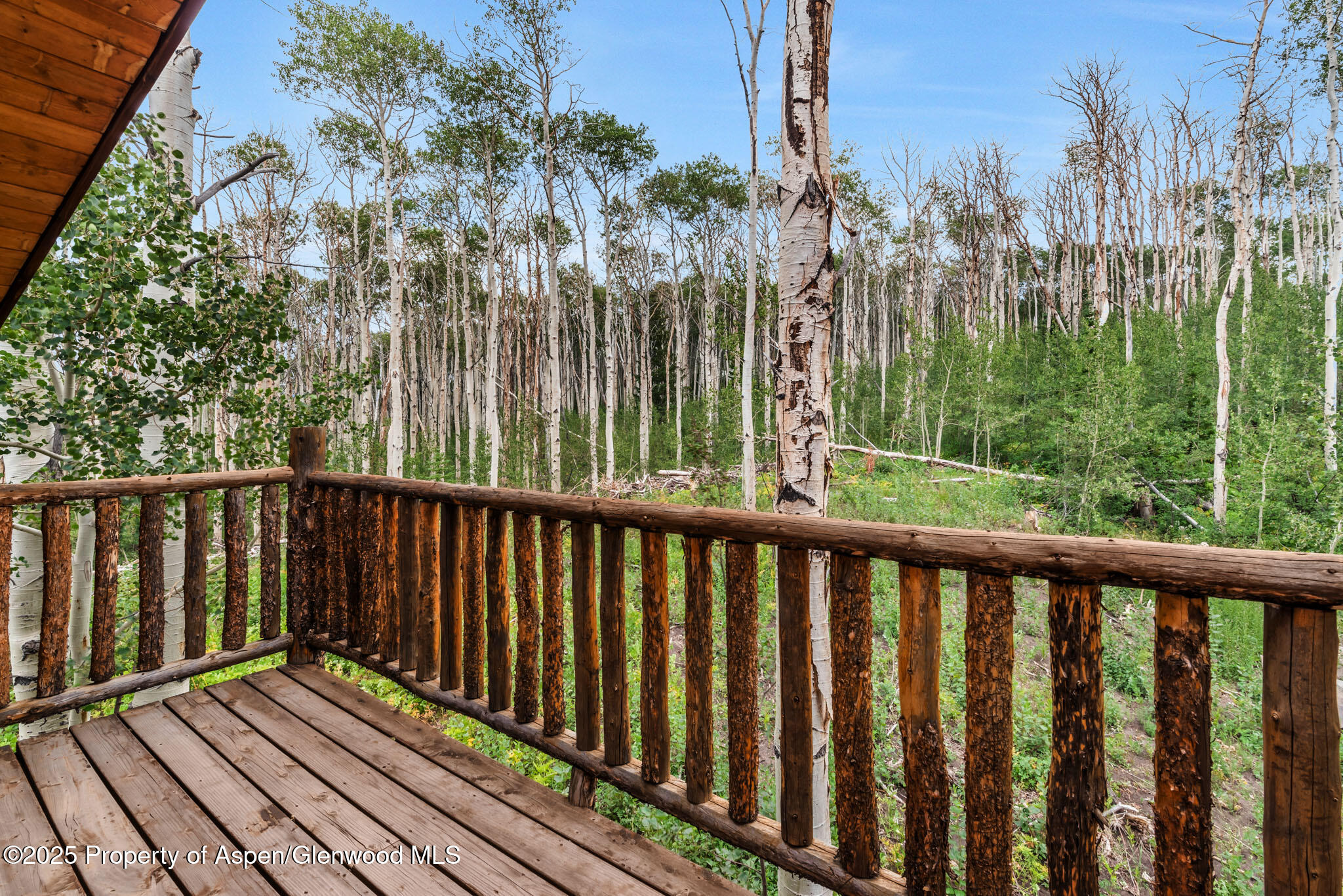 943 Routt Forest Drive Craig, CO 81625 - Photo 70 of 120 IMGP6386