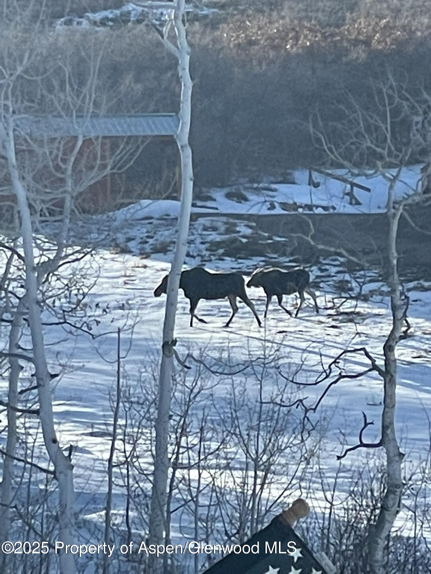 943 Routt Forest Drive Craig, CO 81625 - Photo 87 of 120 5E16195F-992E-430B-939C-16A0598C60D7