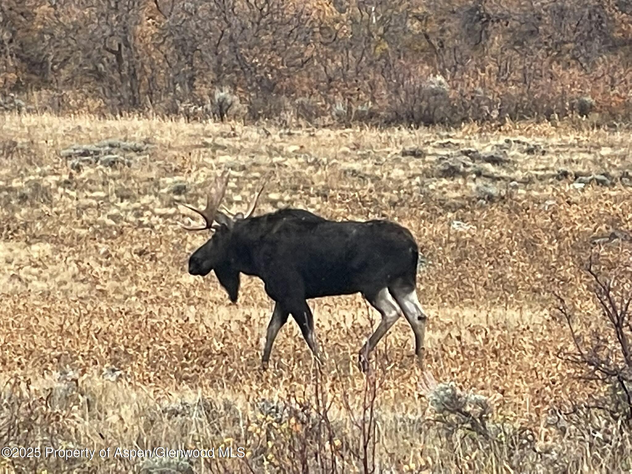 943 Routt Forest Drive Craig, CO 81625 - Photo 91 of 120 a closeup of a sink