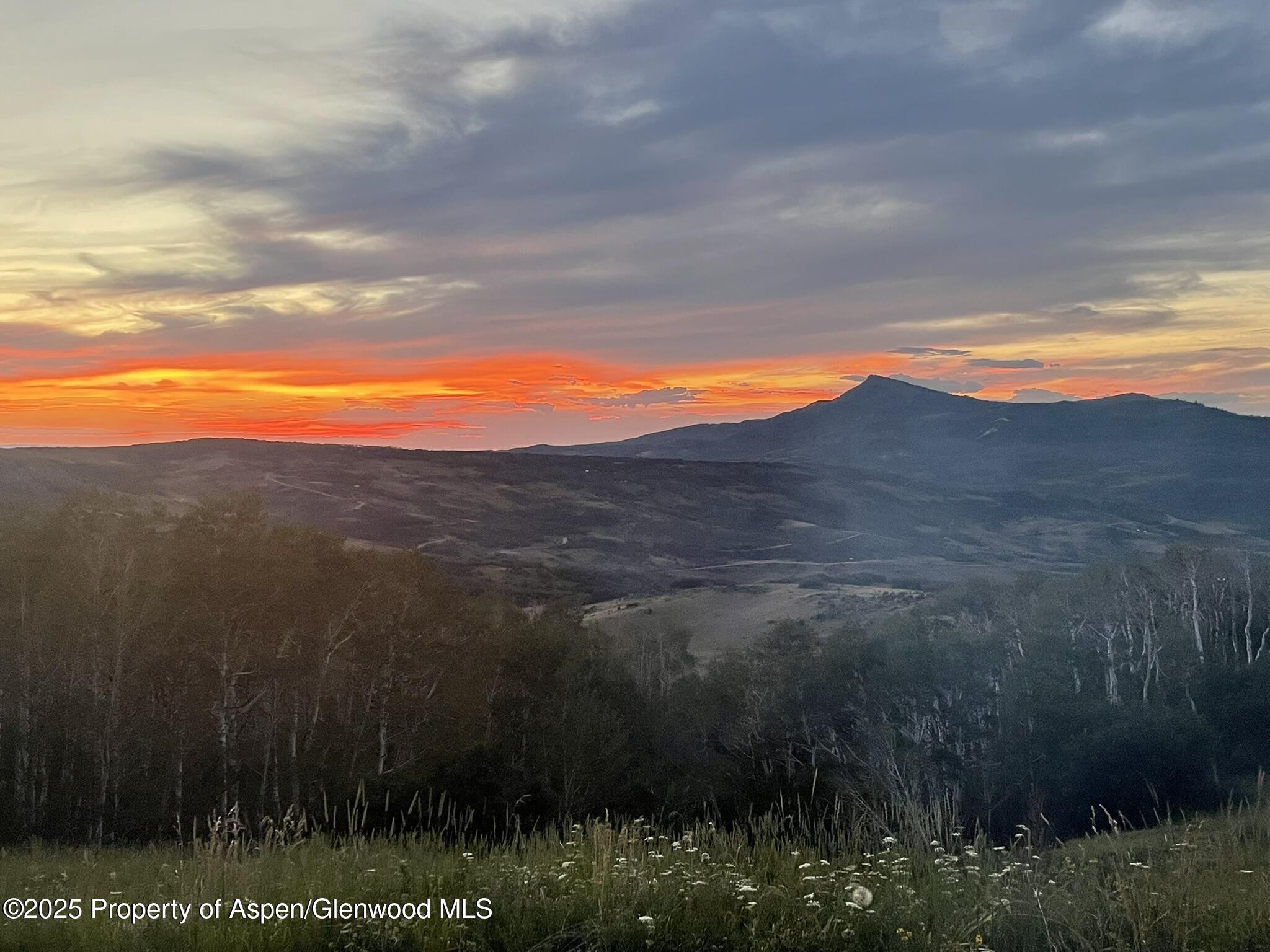 943 Routt Forest Drive Craig, CO 81625 - Photo 97 of 120 BB7D35F3-F234-4A2A-961B-EF20DBE8DCDA