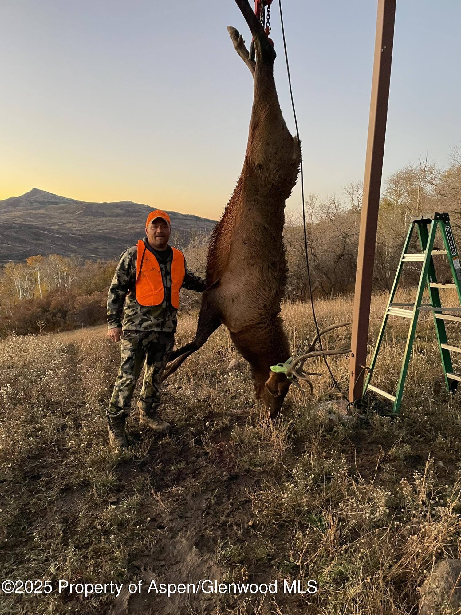 943 Routt Forest Drive Craig, CO 81625 - Photo 98 of 120 a view of outdoor space