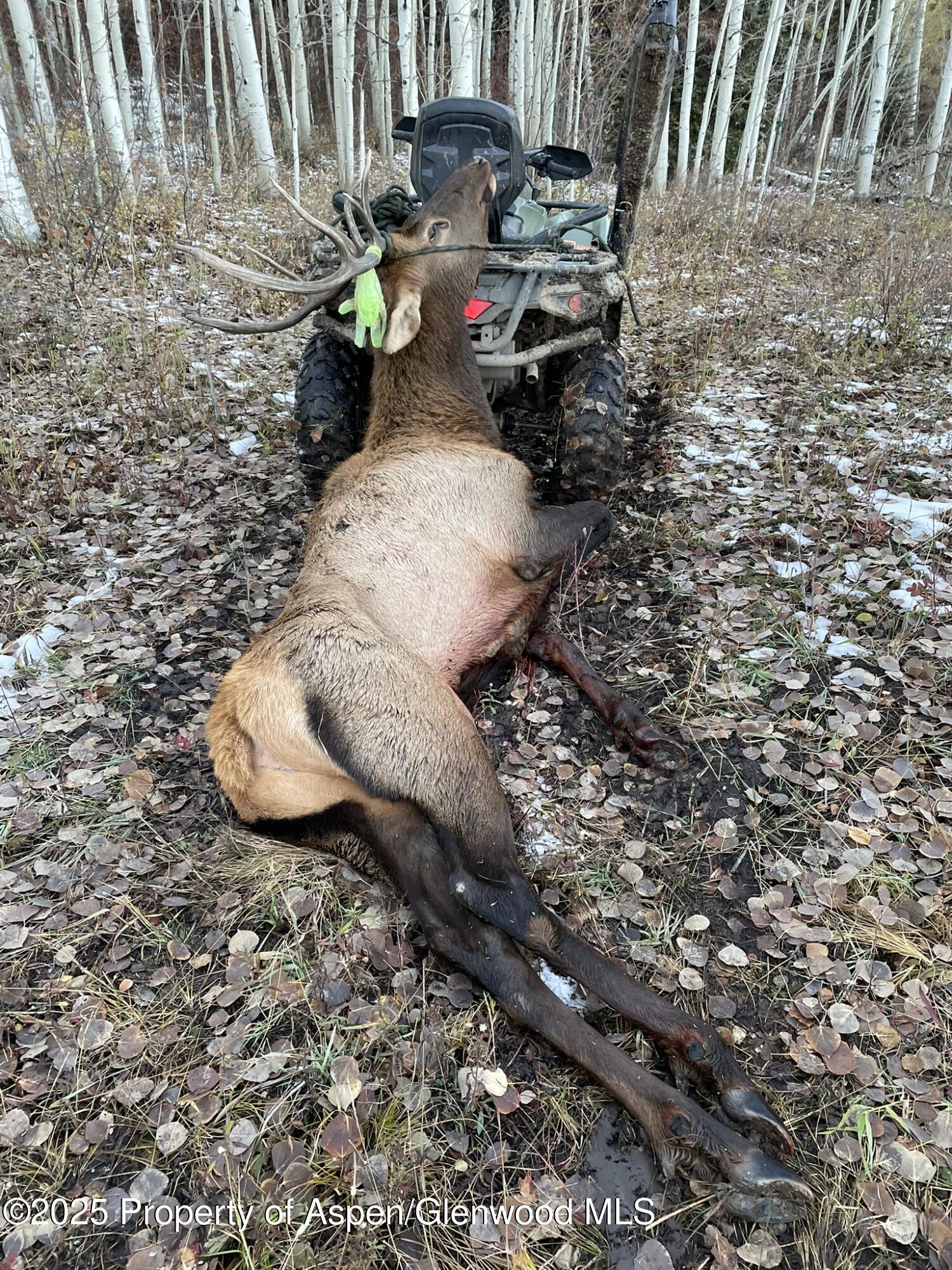 943 Routt Forest Drive Craig, CO 81625 - Photo 99 of 120 9990C6EA-CD91-4D99-9B4D-F5C25A0F54DE