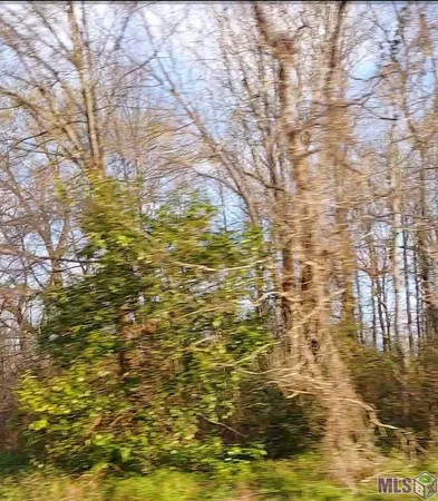 $10,000 | Lot 50 El Scott Avenue, Baton Rouge, LA 70811