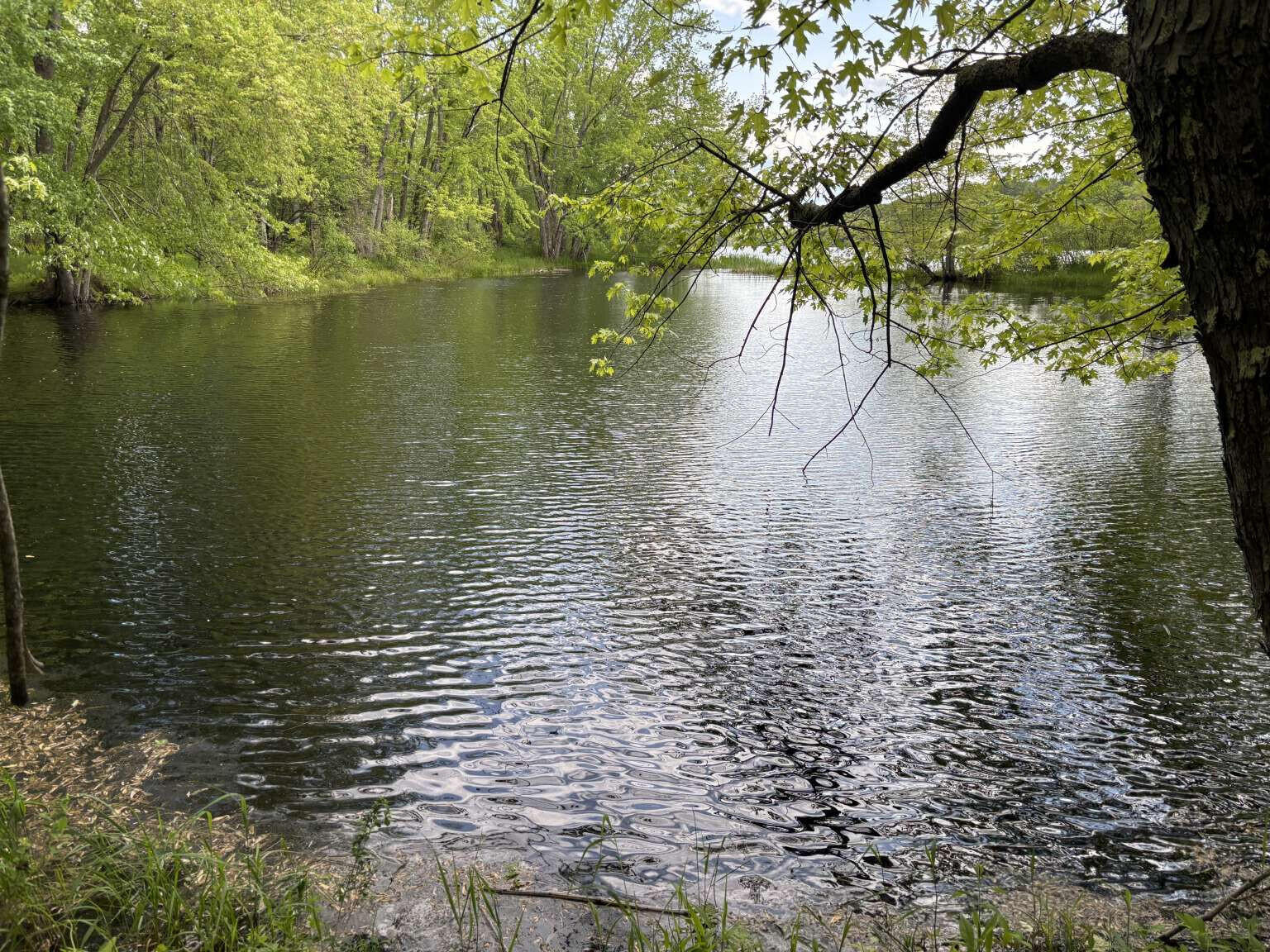 Lot A River Road Leeds, ME 04263 - Photo 5 of 19 Sargent.5
