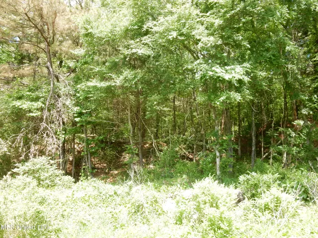 $60,000 | 3 Looxahoma-Tyro Road, Senatobia, MS 38668